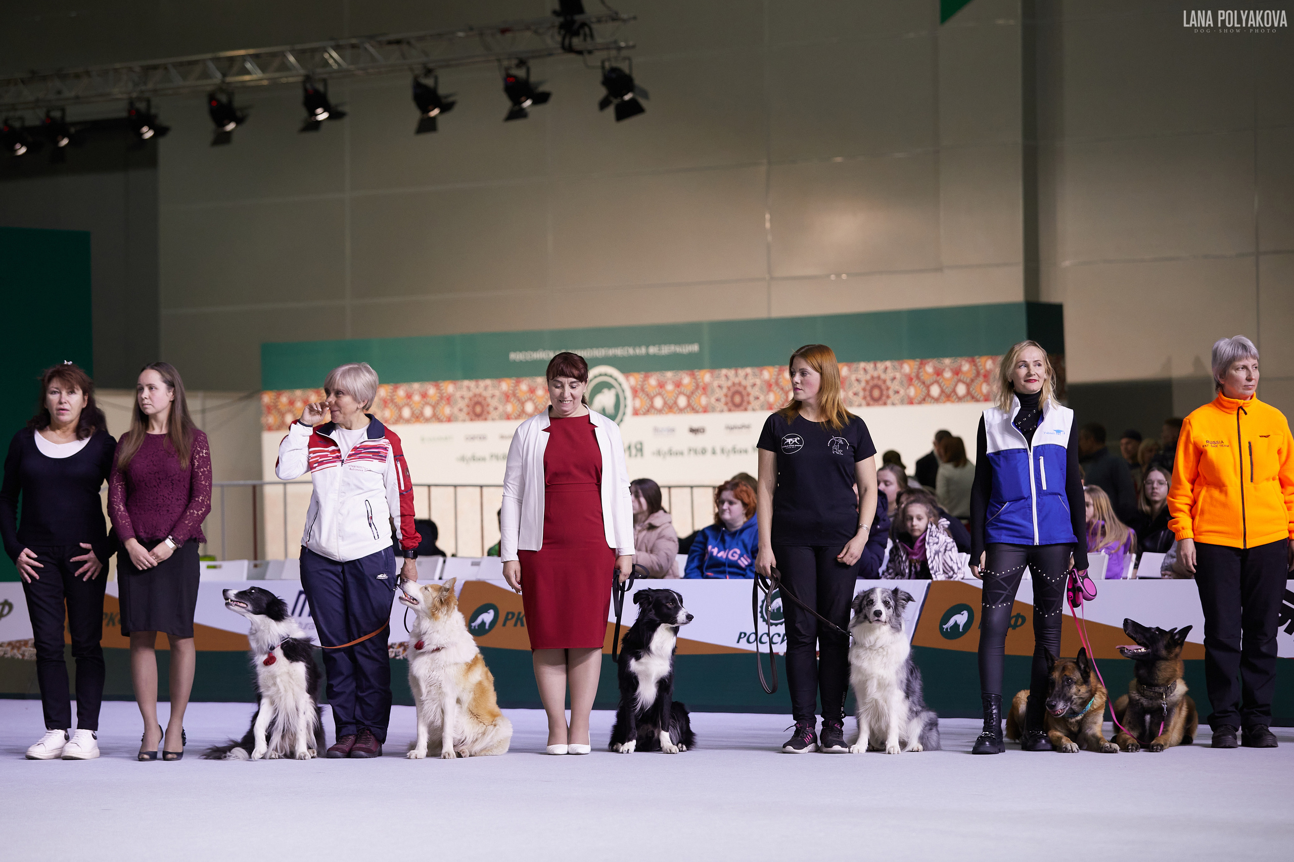 «Russia. RKF Cup 2020–2021», MOSCOW. ФОТОГРАФ-АНИМАЛИСТ l LANA POLYAKOVA