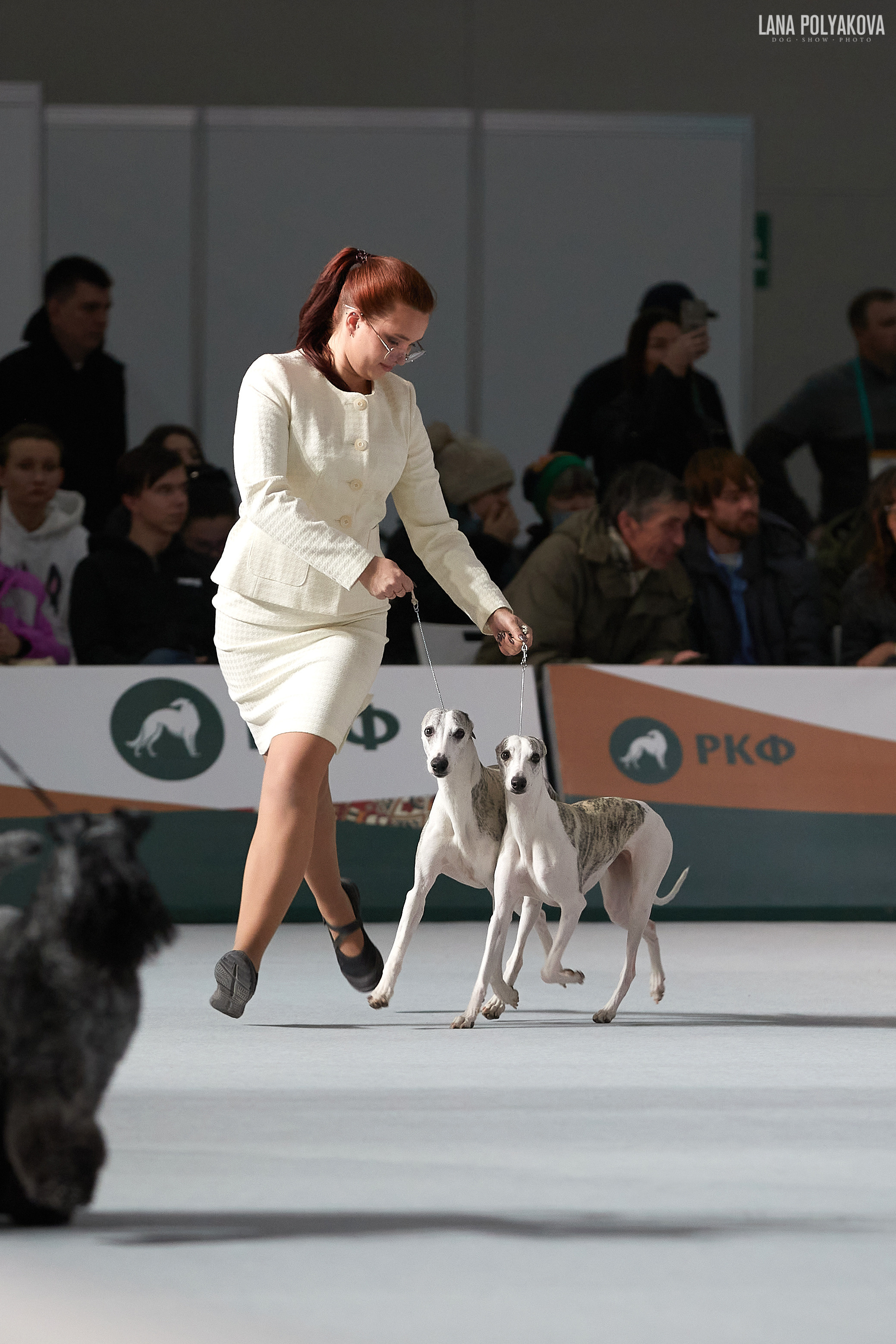 «Russia. RKF Cup 2020–2021», MOSCOW. ФОТОГРАФ-АНИМАЛИСТ l LANA POLYAKOVA