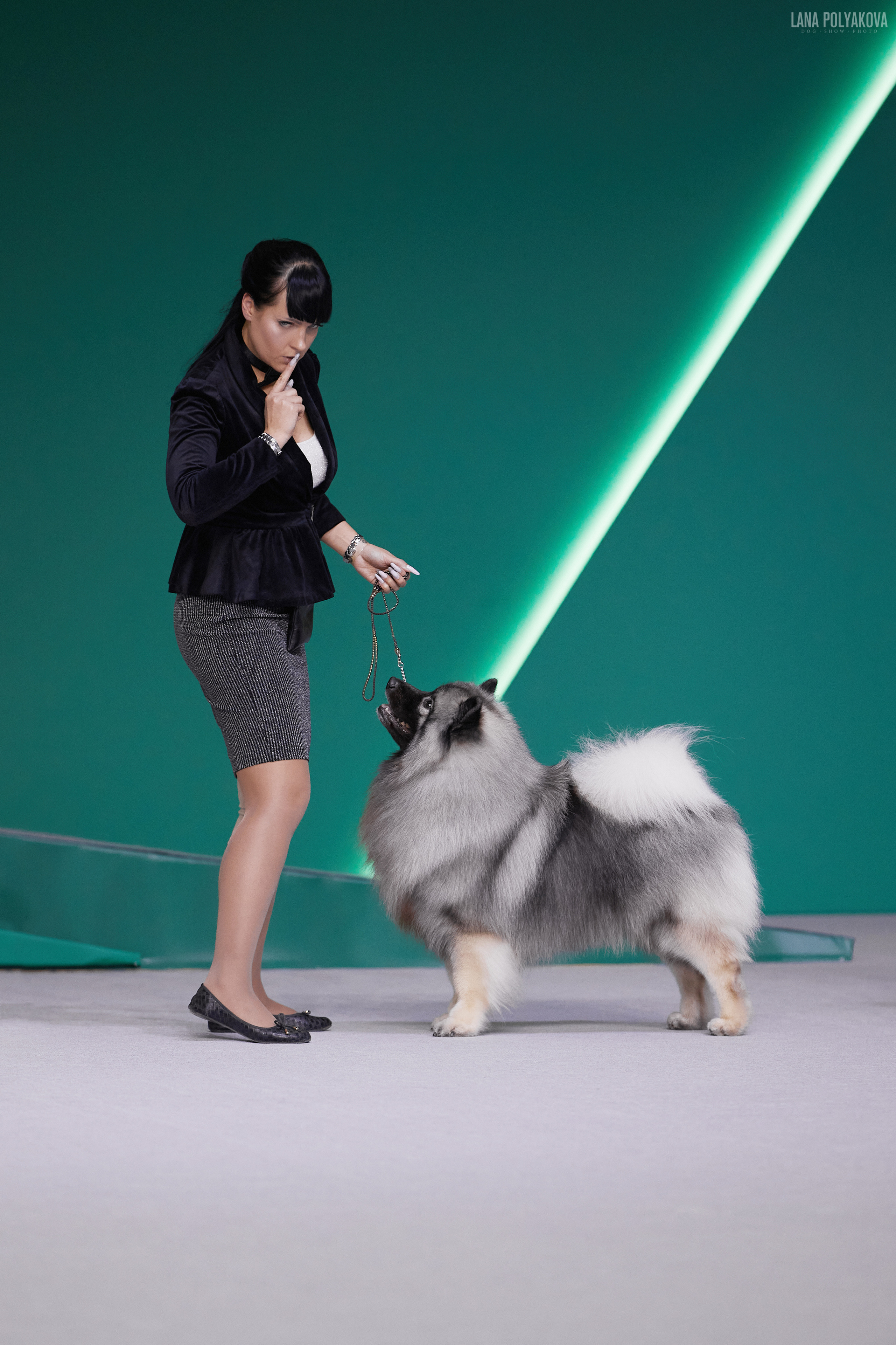 «Russia. RKF Cup 2020–2021», MOSCOW. ФОТОГРАФ-АНИМАЛИСТ l LANA POLYAKOVA