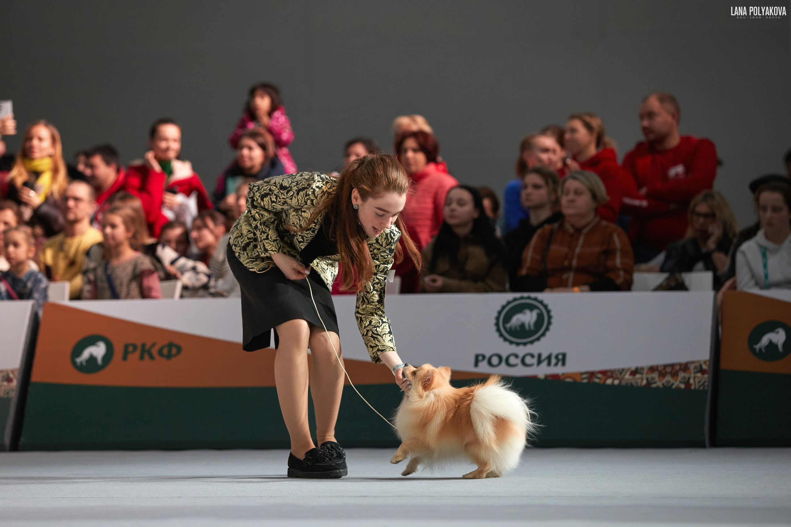 «Russia. RKF Cup 2020–2021», MOSCOW. ФОТОГРАФ-АНИМАЛИСТ l LANA POLYAKOVA
