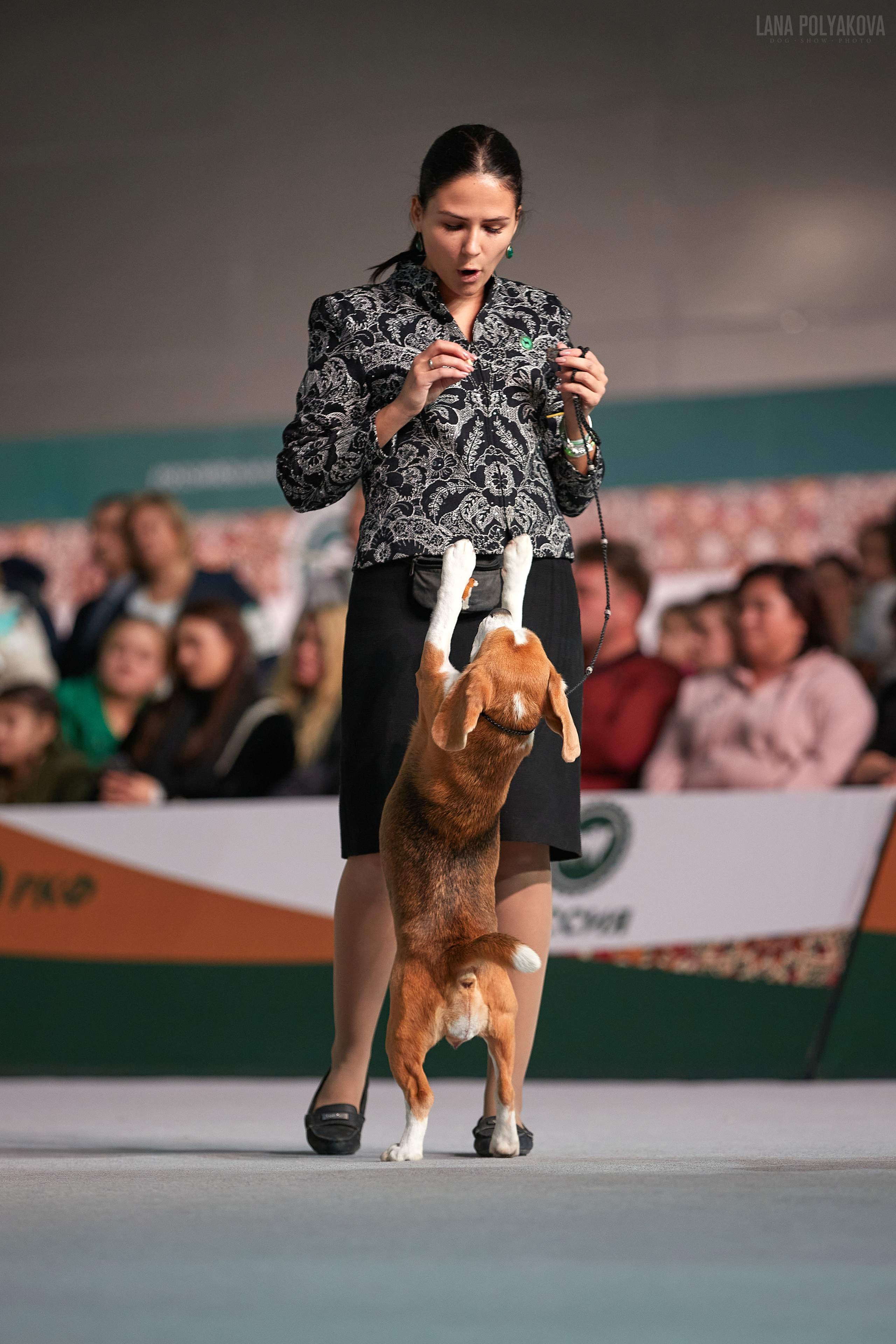 «Russia. RKF Cup 2020–2021», MOSCOW. ФОТОГРАФ-АНИМАЛИСТ l LANA POLYAKOVA