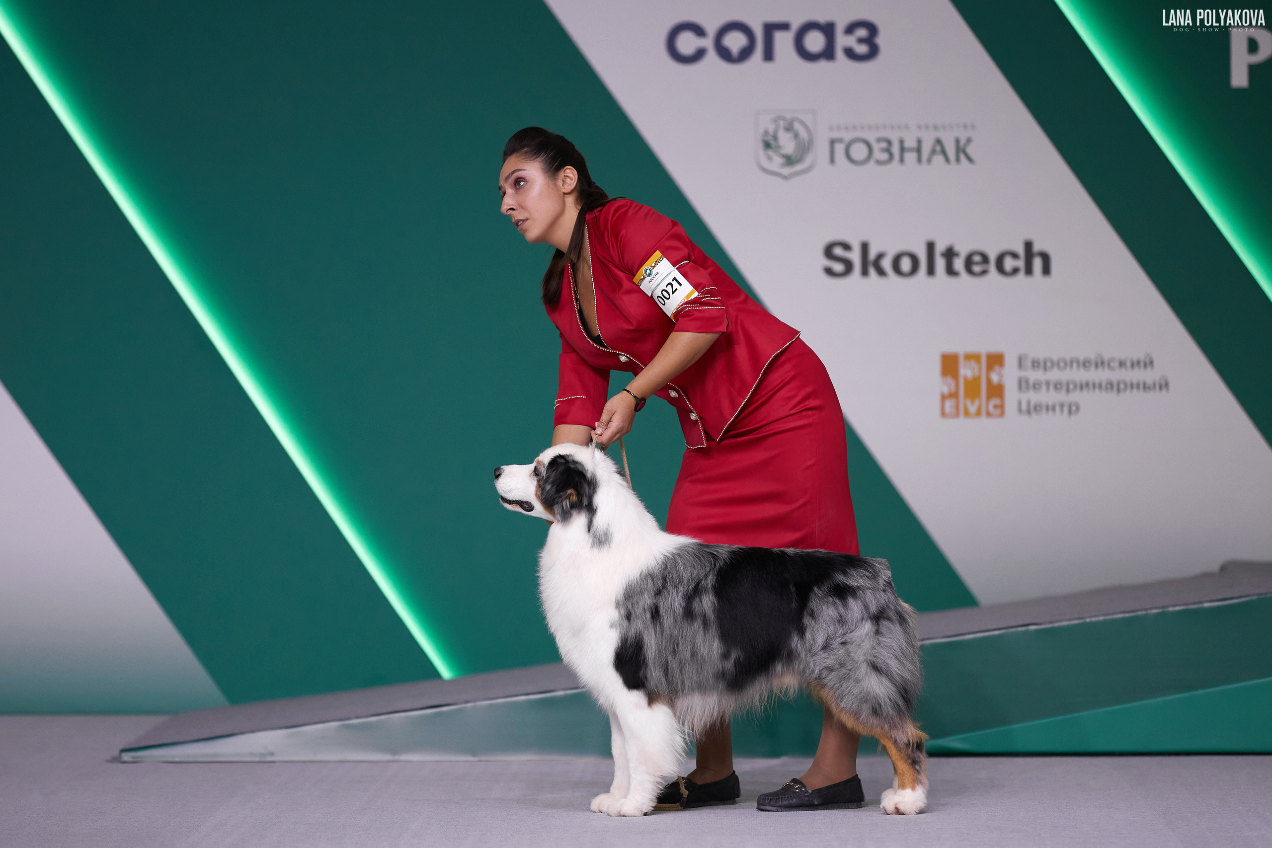 «Russia. RKF Cup 2020–2021», MOSCOW. ФОТОГРАФ-АНИМАЛИСТ l LANA POLYAKOVA