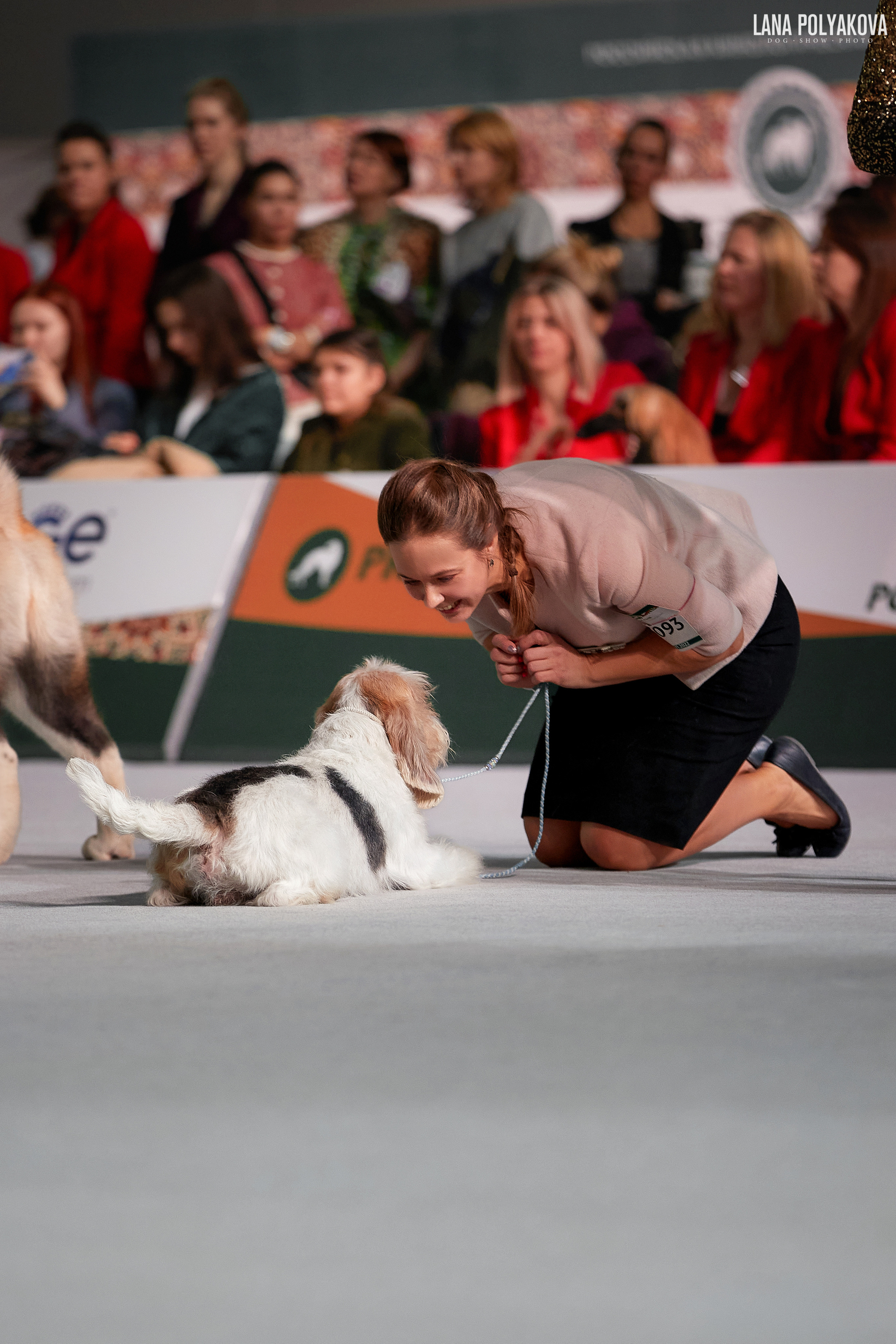 «Russia. RKF Cup 2020–2021», MOSCOW. ФОТОГРАФ-АНИМАЛИСТ l LANA POLYAKOVA