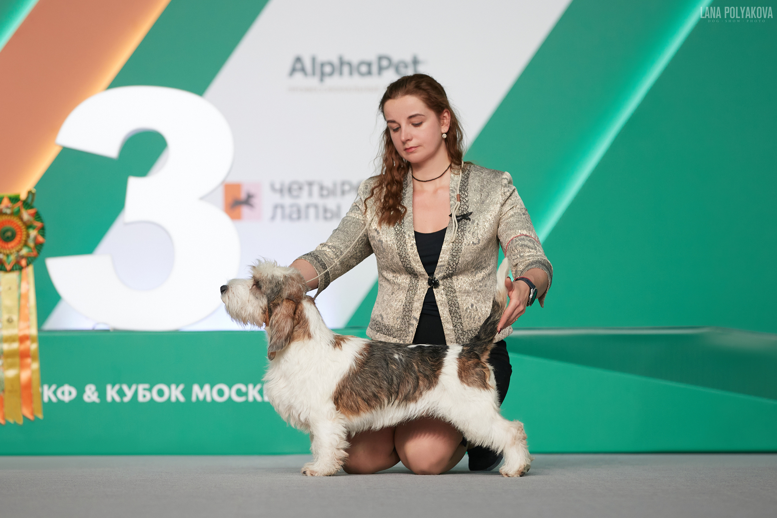 «Russia. RKF Cup 2020–2021», MOSCOW. ФОТОГРАФ-АНИМАЛИСТ l LANA POLYAKOVA