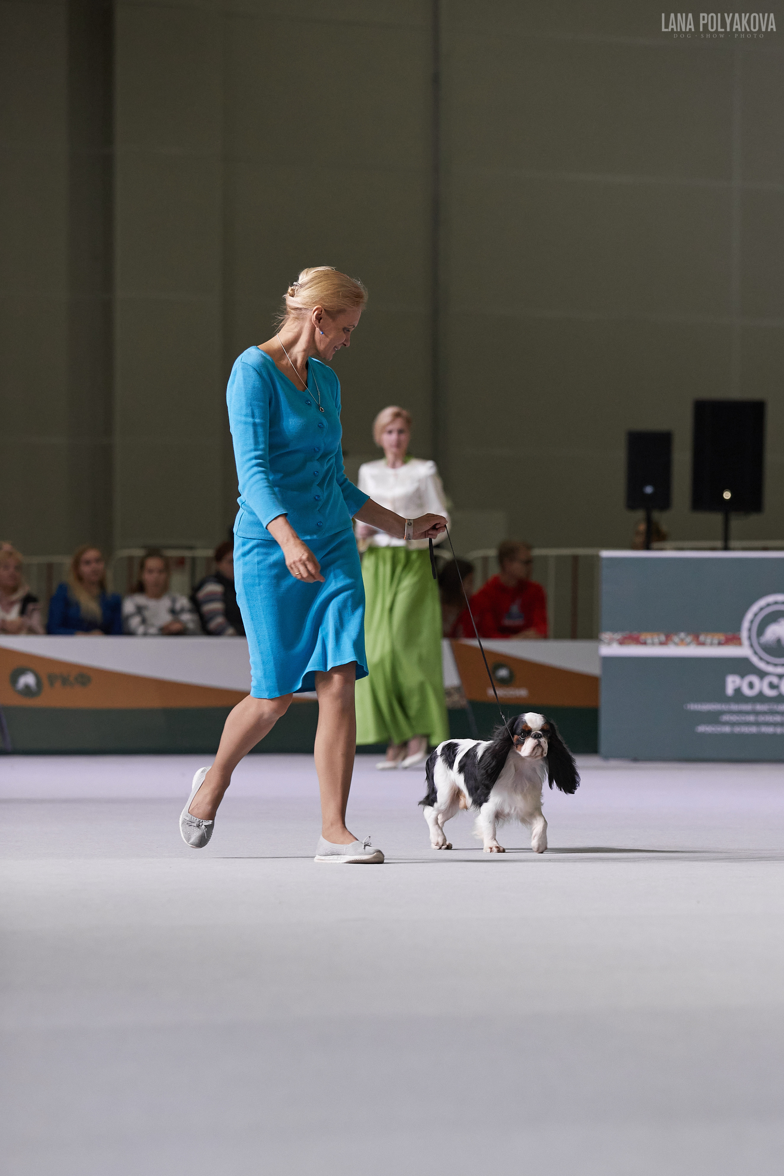 «Russia. RKF Cup 2020–2021», MOSCOW. ФОТОГРАФ-АНИМАЛИСТ l LANA POLYAKOVA