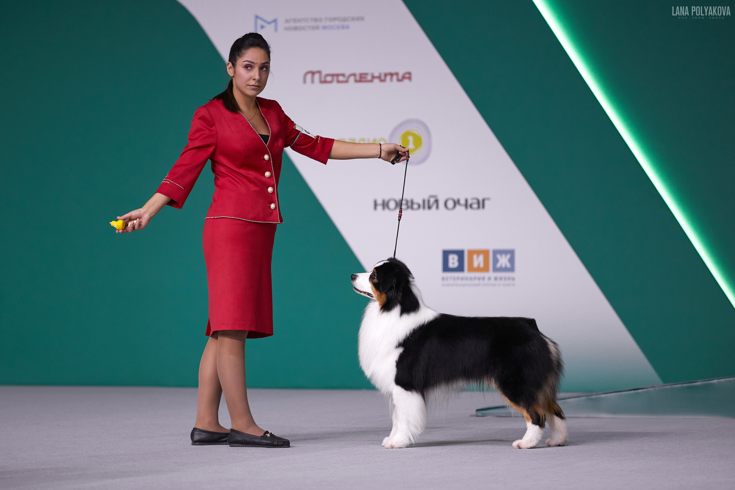 «Russia. RKF Cup 2020–2021», MOSCOW. ФОТОГРАФ-АНИМАЛИСТ l LANA POLYAKOVA