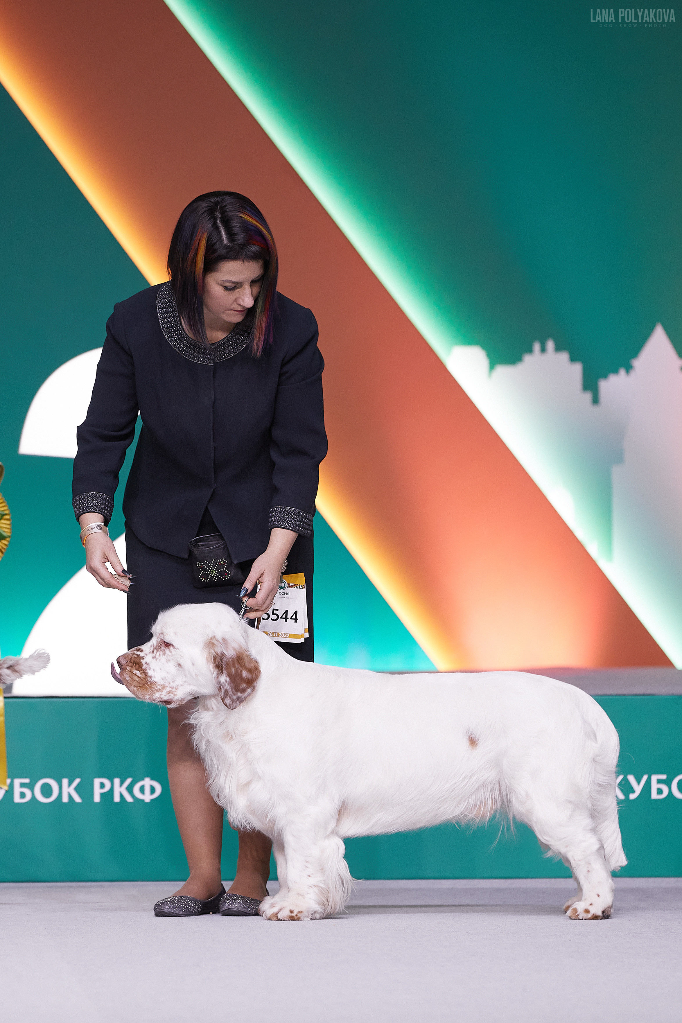 «Russia. RKF Cup 2020–2021», MOSCOW. ФОТОГРАФ-АНИМАЛИСТ l LANA POLYAKOVA