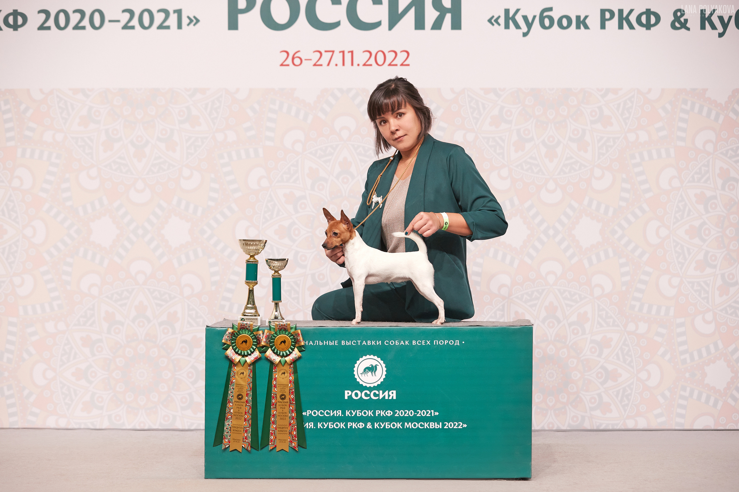 «Russia. RKF Cup 2020–2021», MOSCOW. ФОТОГРАФ-АНИМАЛИСТ l LANA POLYAKOVA