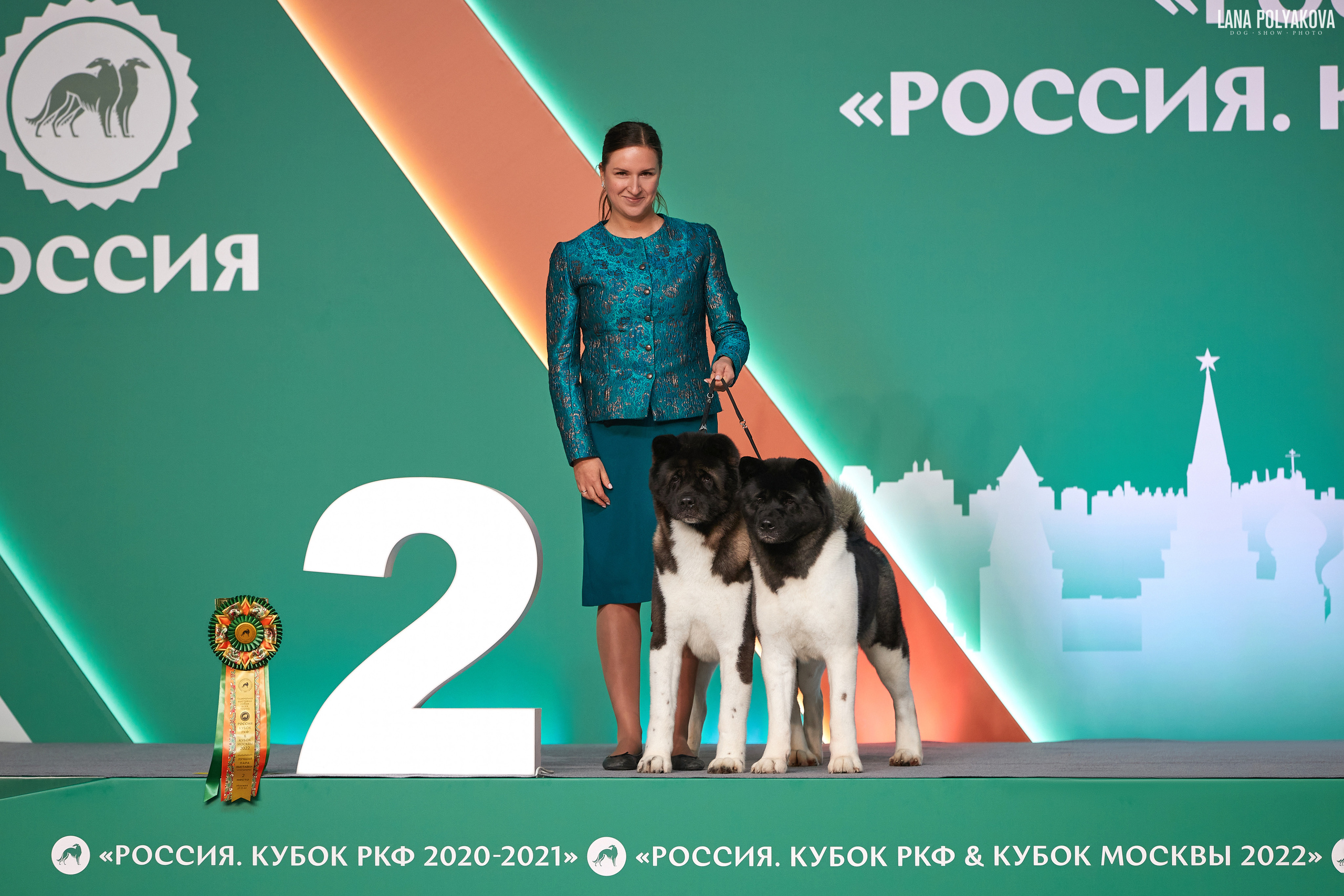 «Russia. RKF Cup 2020–2021», MOSCOW. ФОТОГРАФ-АНИМАЛИСТ l LANA POLYAKOVA