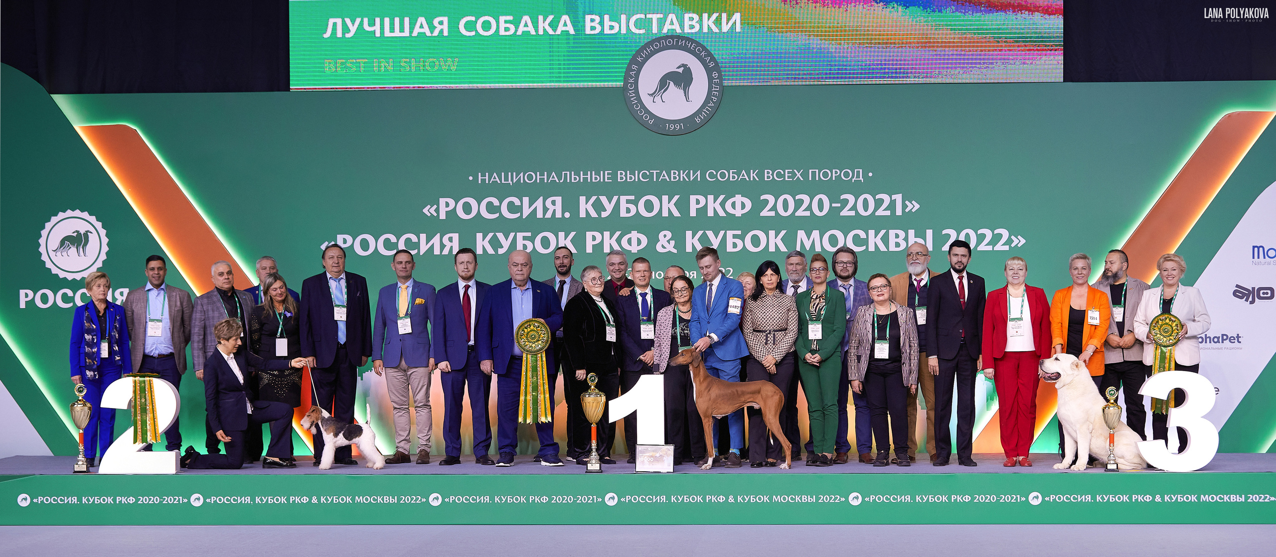 «Russia. RKF Cup 2020–2021», MOSCOW. ФОТОГРАФ-АНИМАЛИСТ l LANA POLYAKOVA