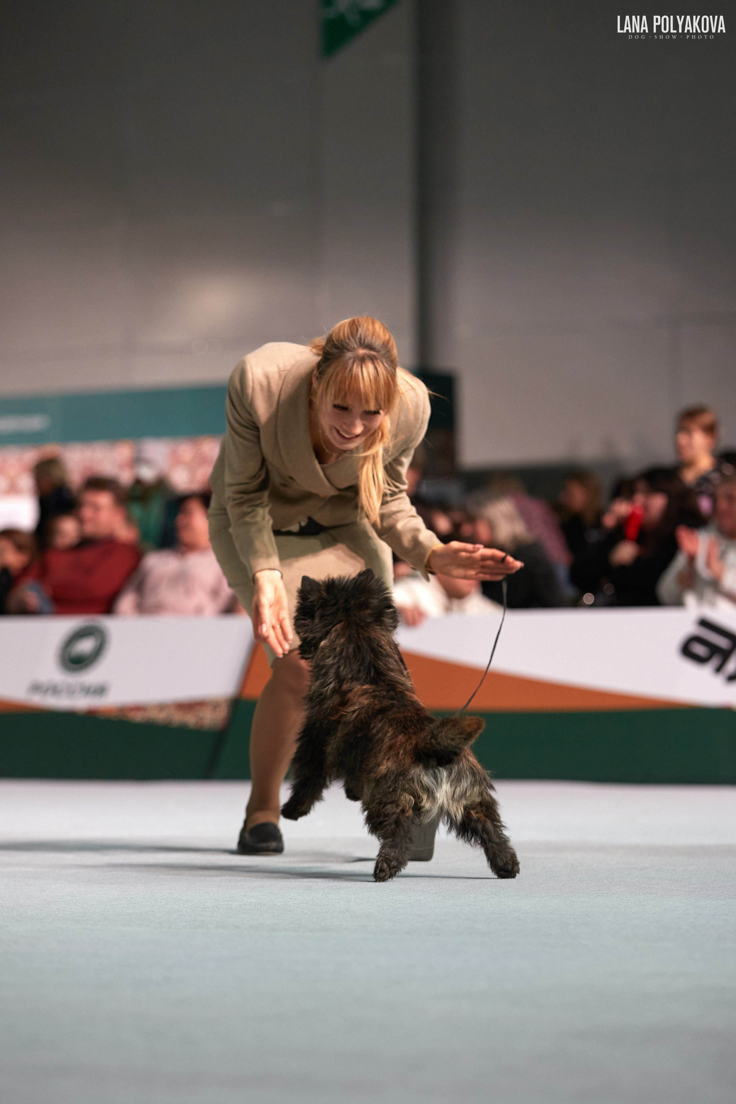«Russia. RKF Cup 2020–2021», MOSCOW. ФОТОГРАФ-АНИМАЛИСТ l LANA POLYAKOVA