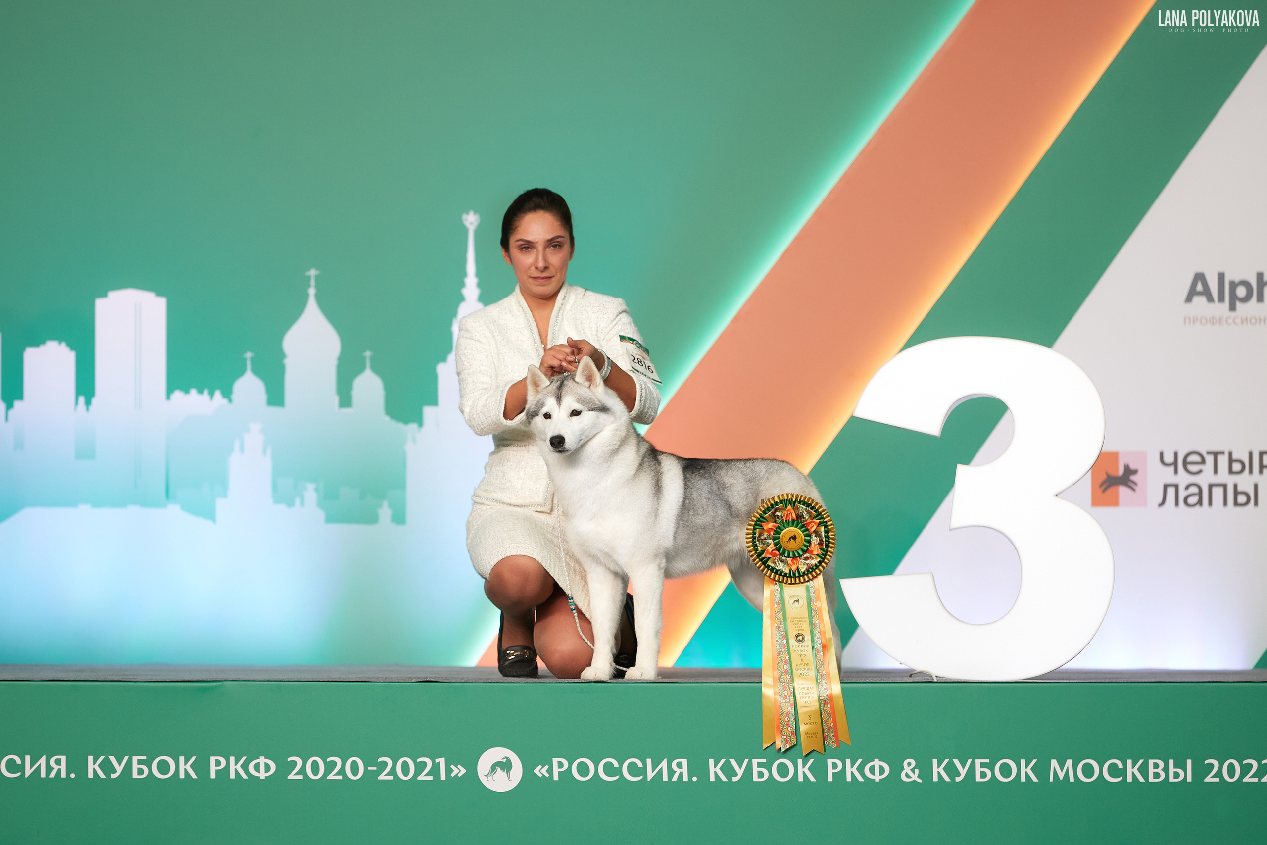 «Russia. RKF Cup 2020–2021», MOSCOW. ФОТОГРАФ-АНИМАЛИСТ l LANA POLYAKOVA