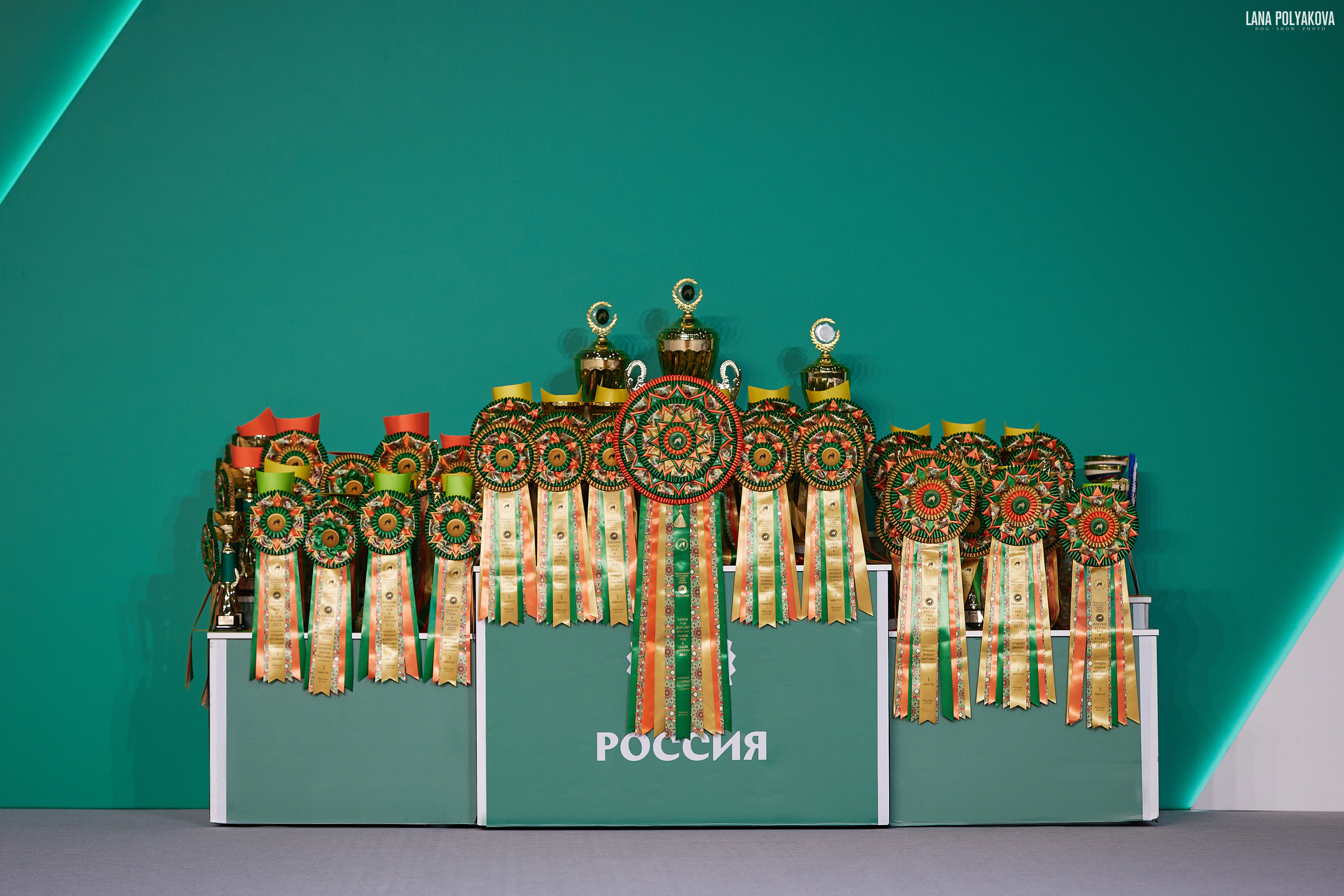 «Russia. RKF Cup 2020–2021», MOSCOW. ФОТОГРАФ-АНИМАЛИСТ l LANA POLYAKOVA