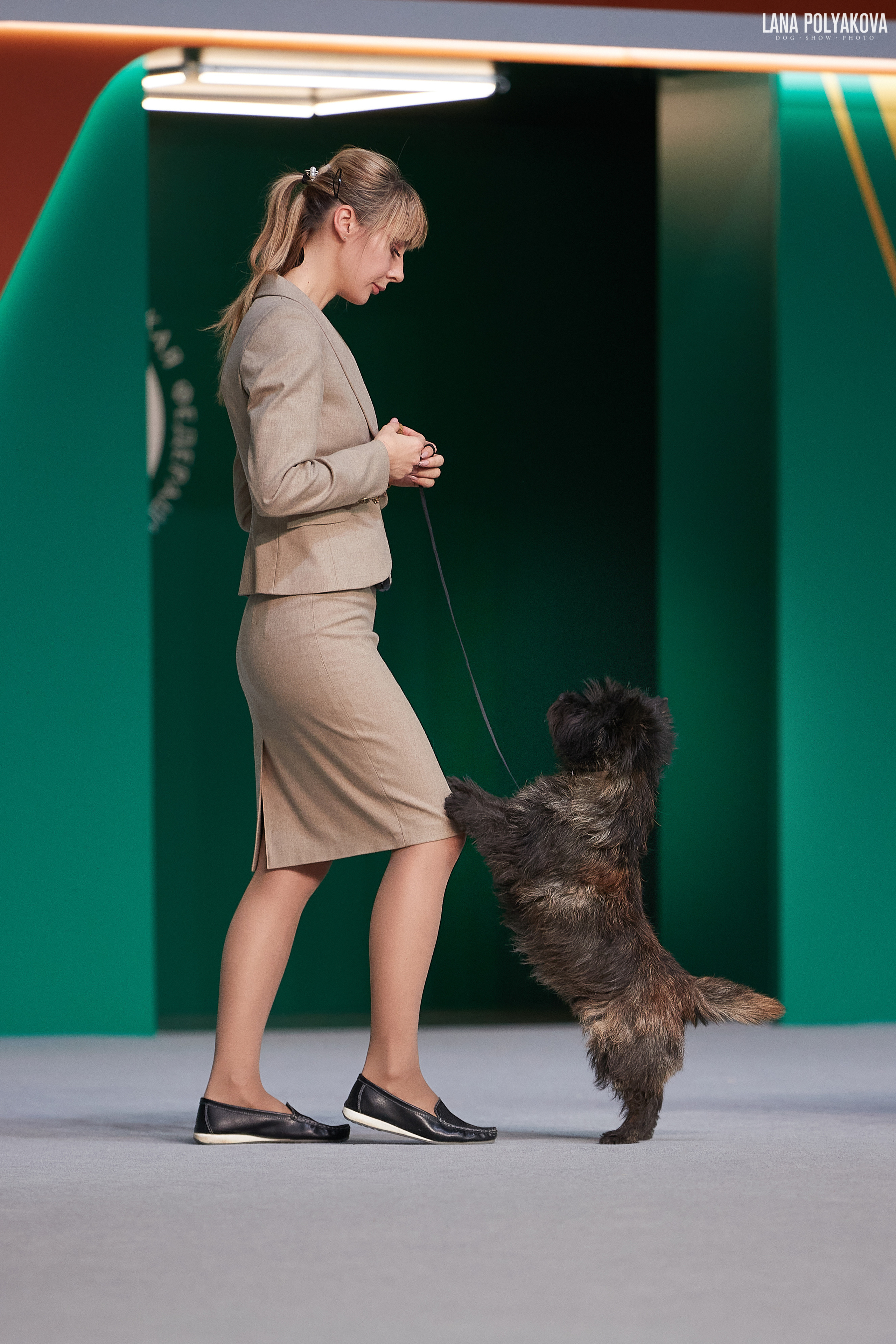 «Russia. RKF Cup 2020–2021», MOSCOW. ФОТОГРАФ-АНИМАЛИСТ l LANA POLYAKOVA