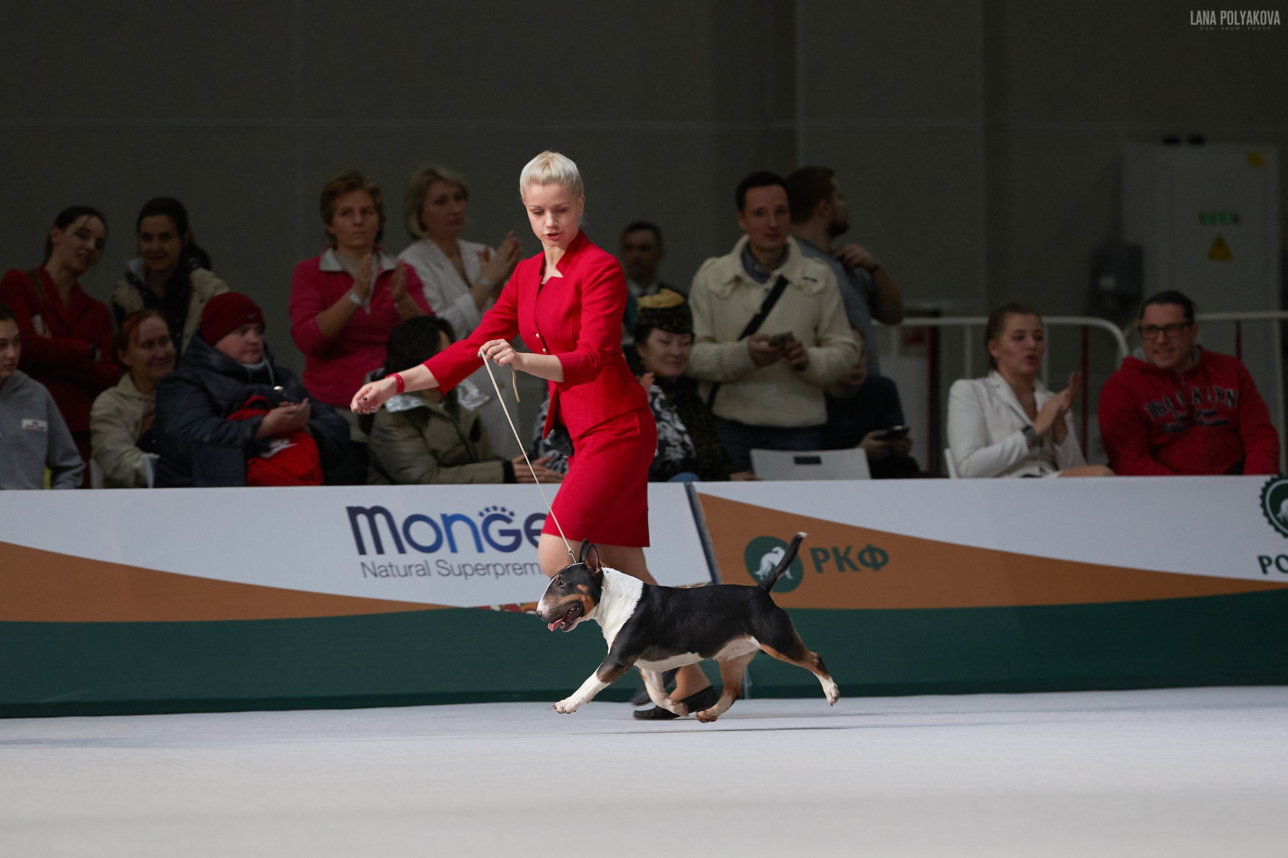 «Russia. RKF Cup 2020–2021», MOSCOW. ФОТОГРАФ-АНИМАЛИСТ l LANA POLYAKOVA