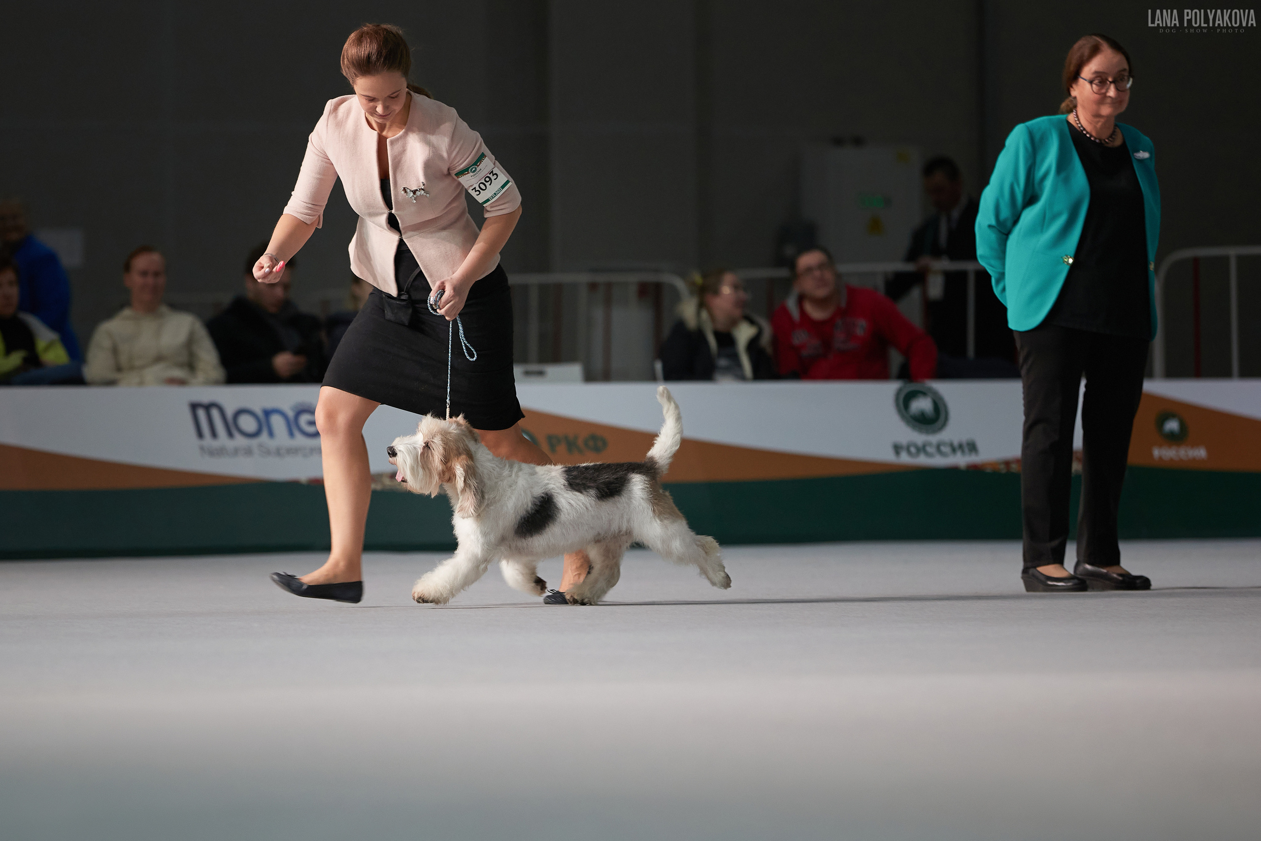 «Russia. RKF Cup 2020–2021», MOSCOW. ФОТОГРАФ-АНИМАЛИСТ l LANA POLYAKOVA