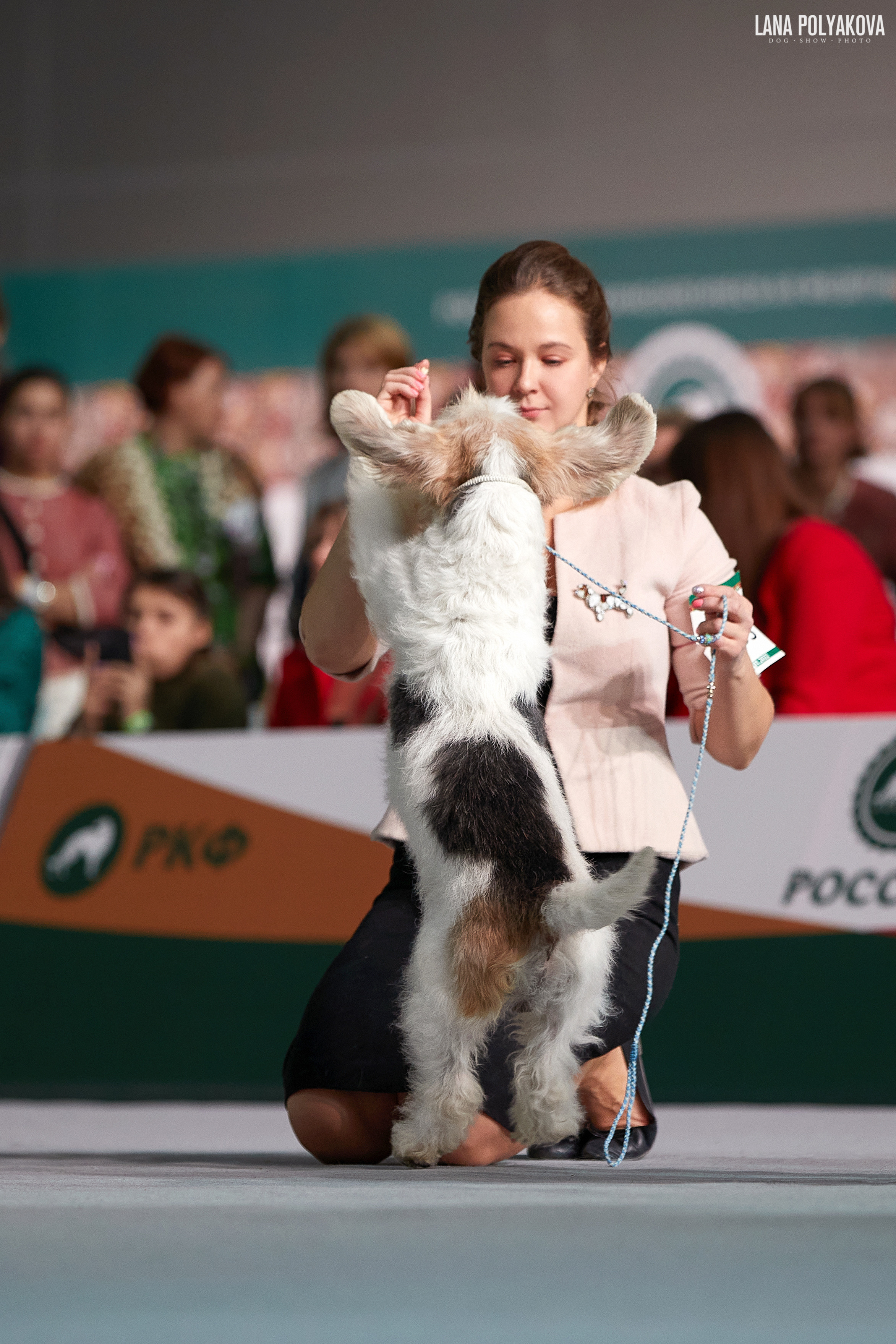 «Russia. RKF Cup 2020–2021», MOSCOW. ФОТОГРАФ-АНИМАЛИСТ l LANA POLYAKOVA
