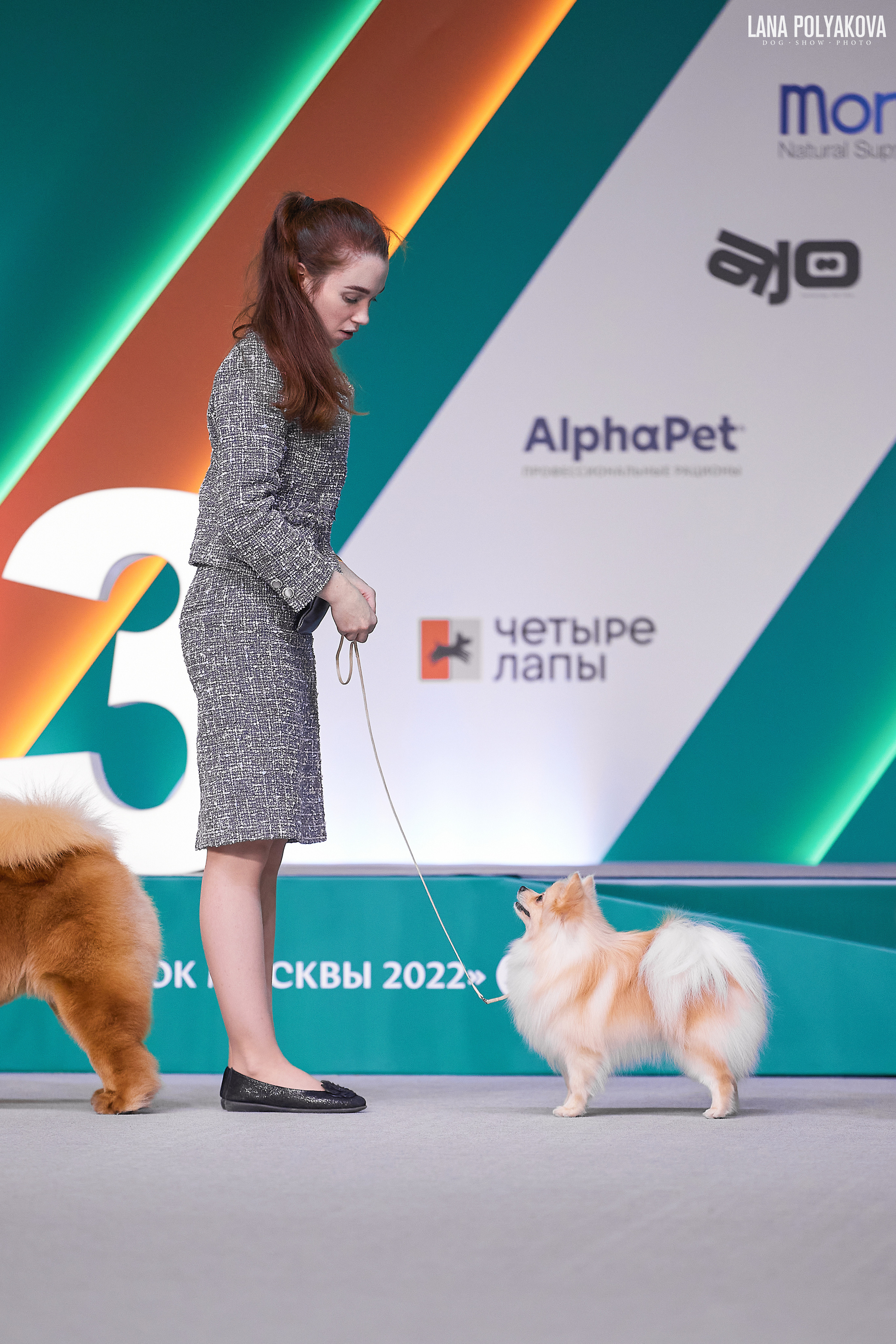 «Russia. RKF Cup 2020–2021», MOSCOW. ФОТОГРАФ-АНИМАЛИСТ l LANA POLYAKOVA