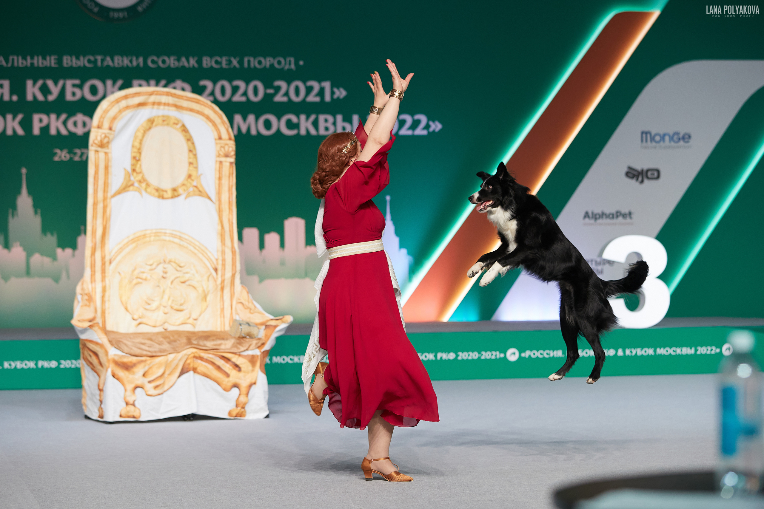 «Russia. RKF Cup 2020–2021», MOSCOW. ФОТОГРАФ-АНИМАЛИСТ l LANA POLYAKOVA