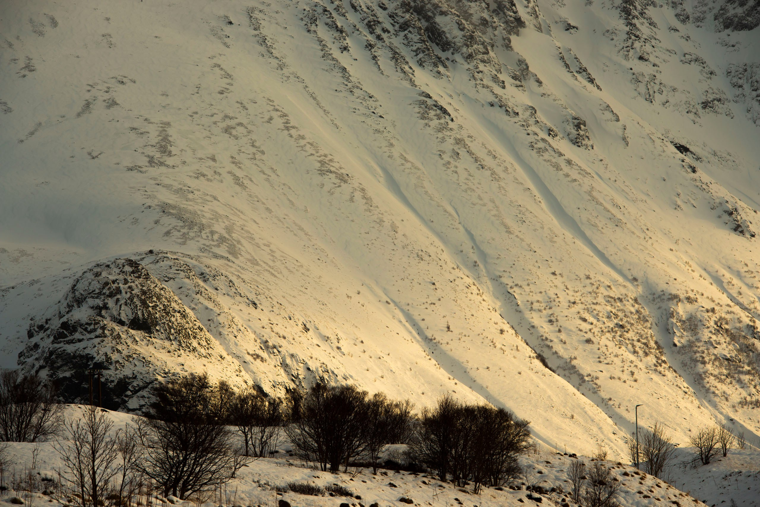 Фотосессия в Лофотенах — арктические пейзажи и интерьерная фотография | Talulla