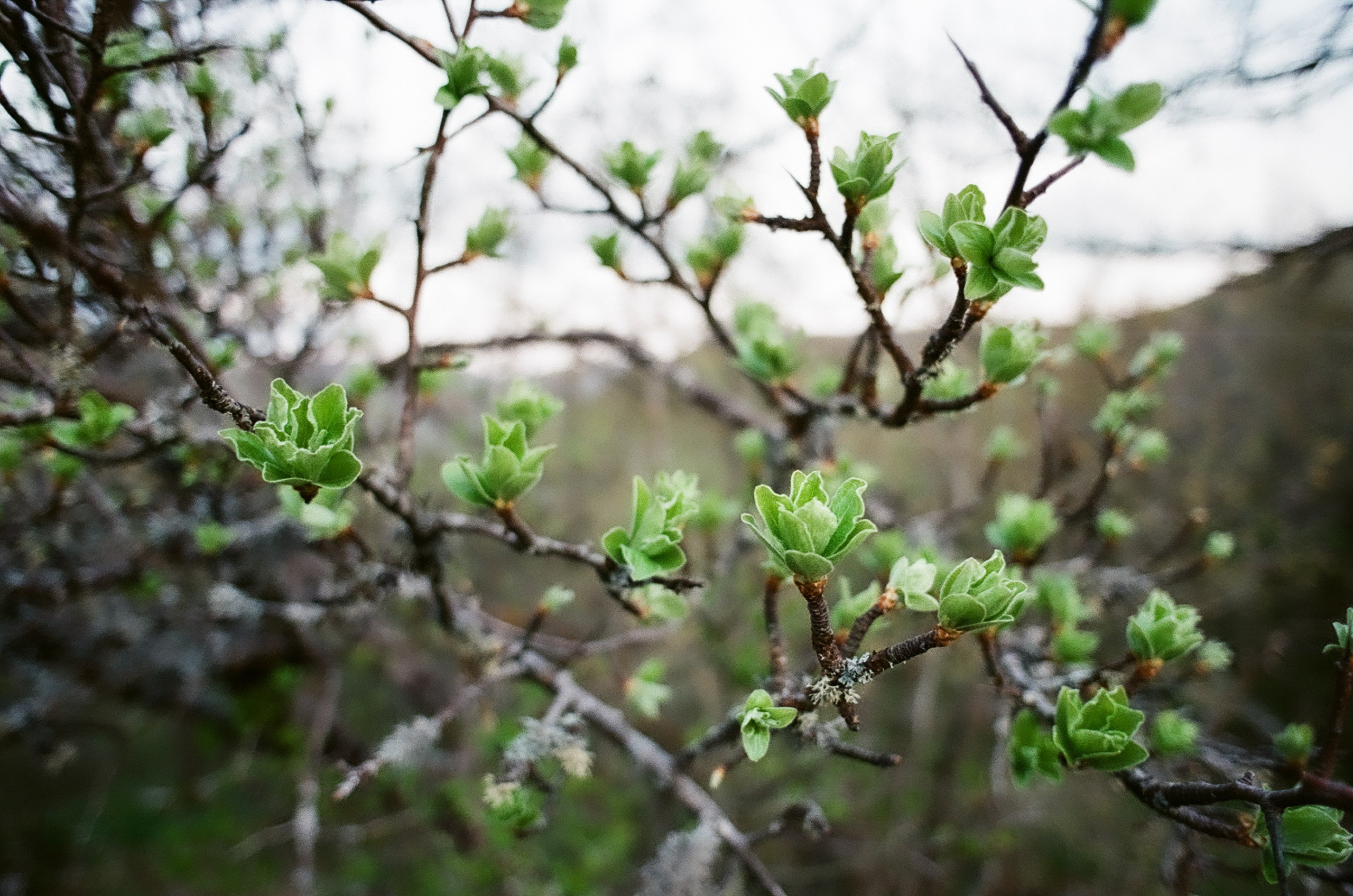 Photographer Yulia Lushnikova, Based in Valencia