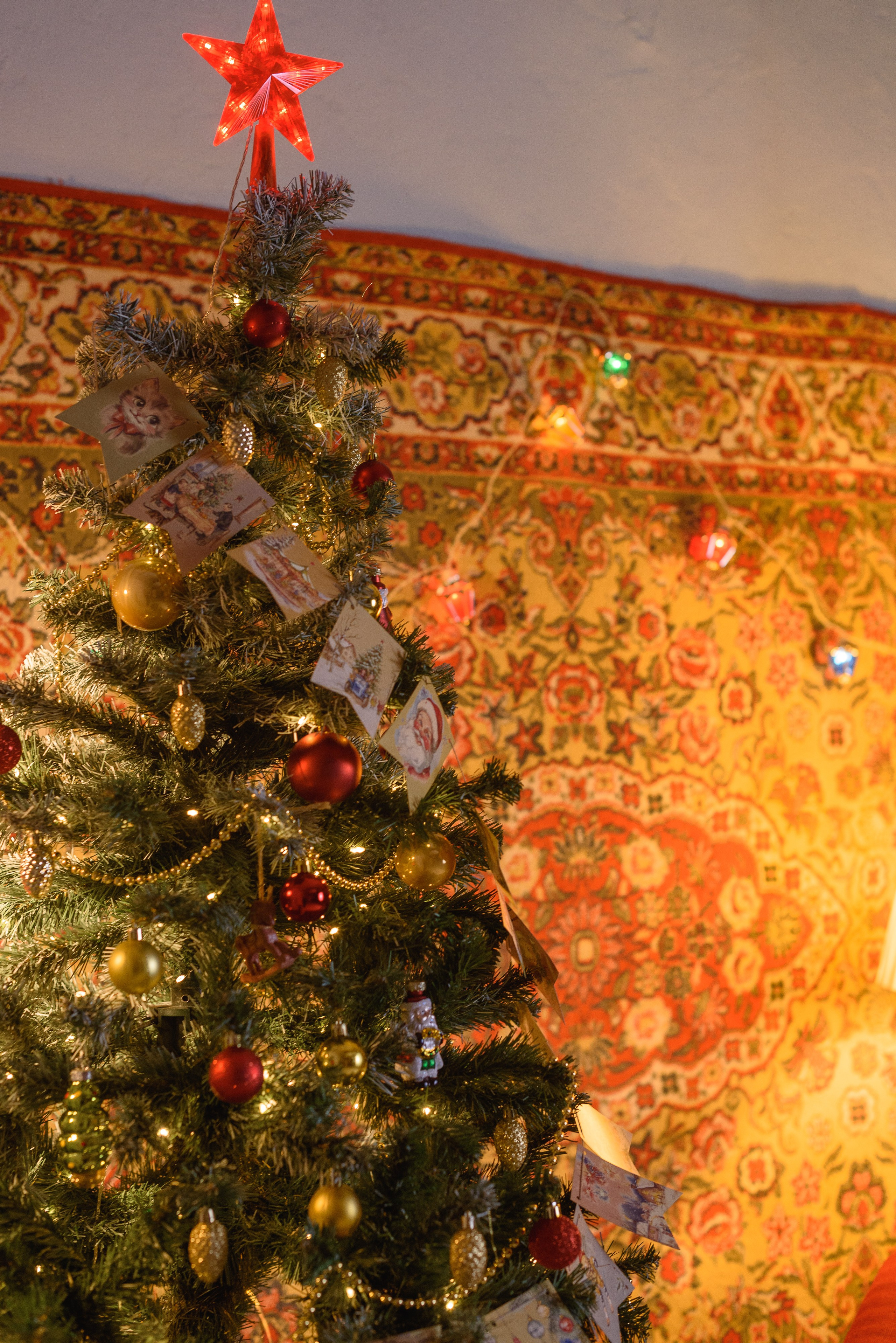 Фотостудия и фотограф в Майкопе — ProfessionalFoto