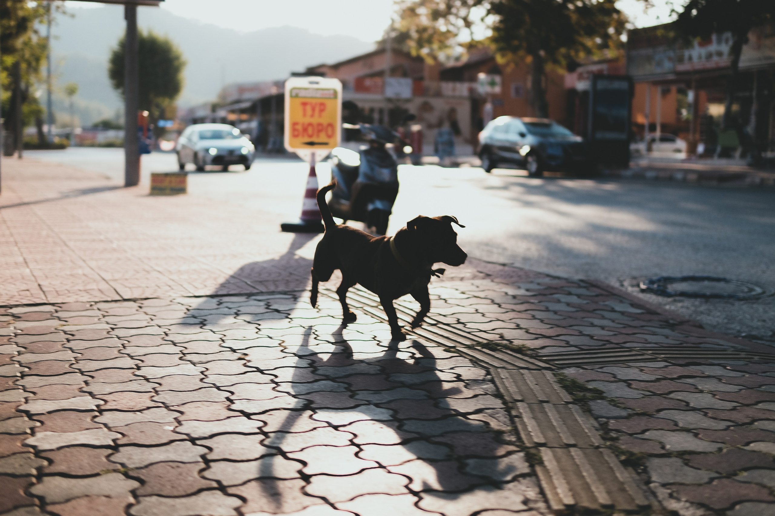 Kemer, Tekirova. Фотограф/Видеограф из Саратова
