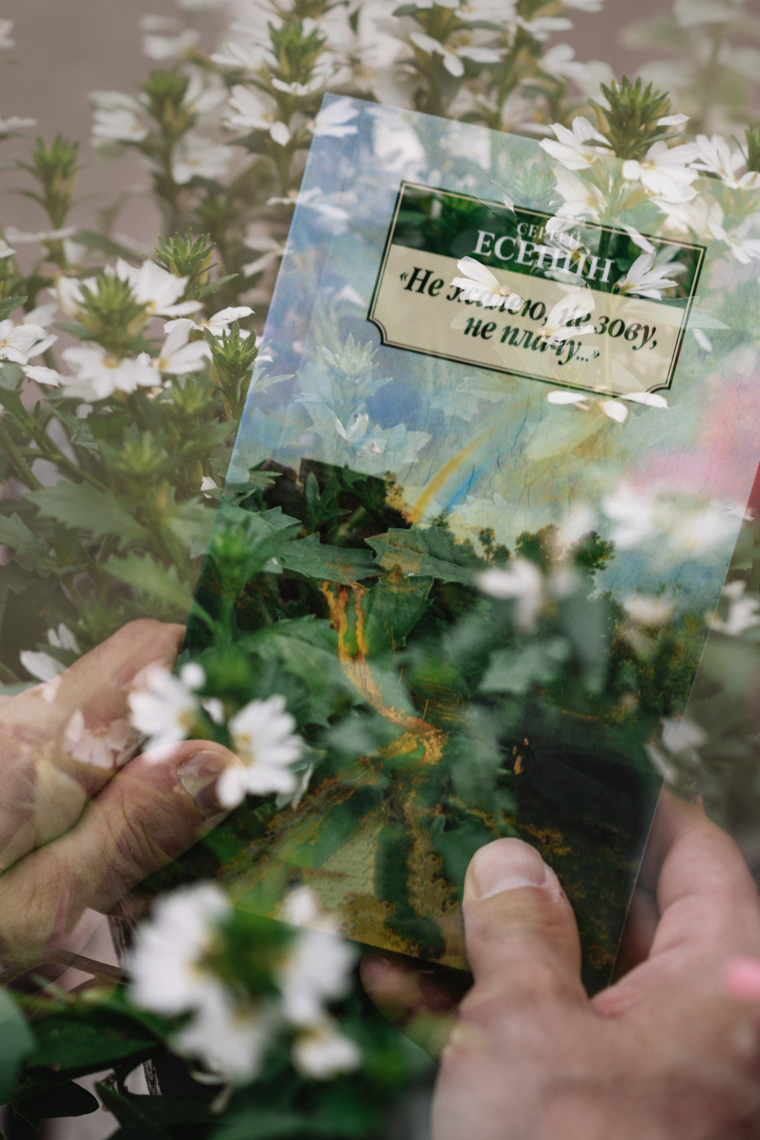 Бронислав Шинкарев Не жалею, не зову, не плачу. Душевная фотография от сердца к сердцу Марина Жиделева фотограф Москва