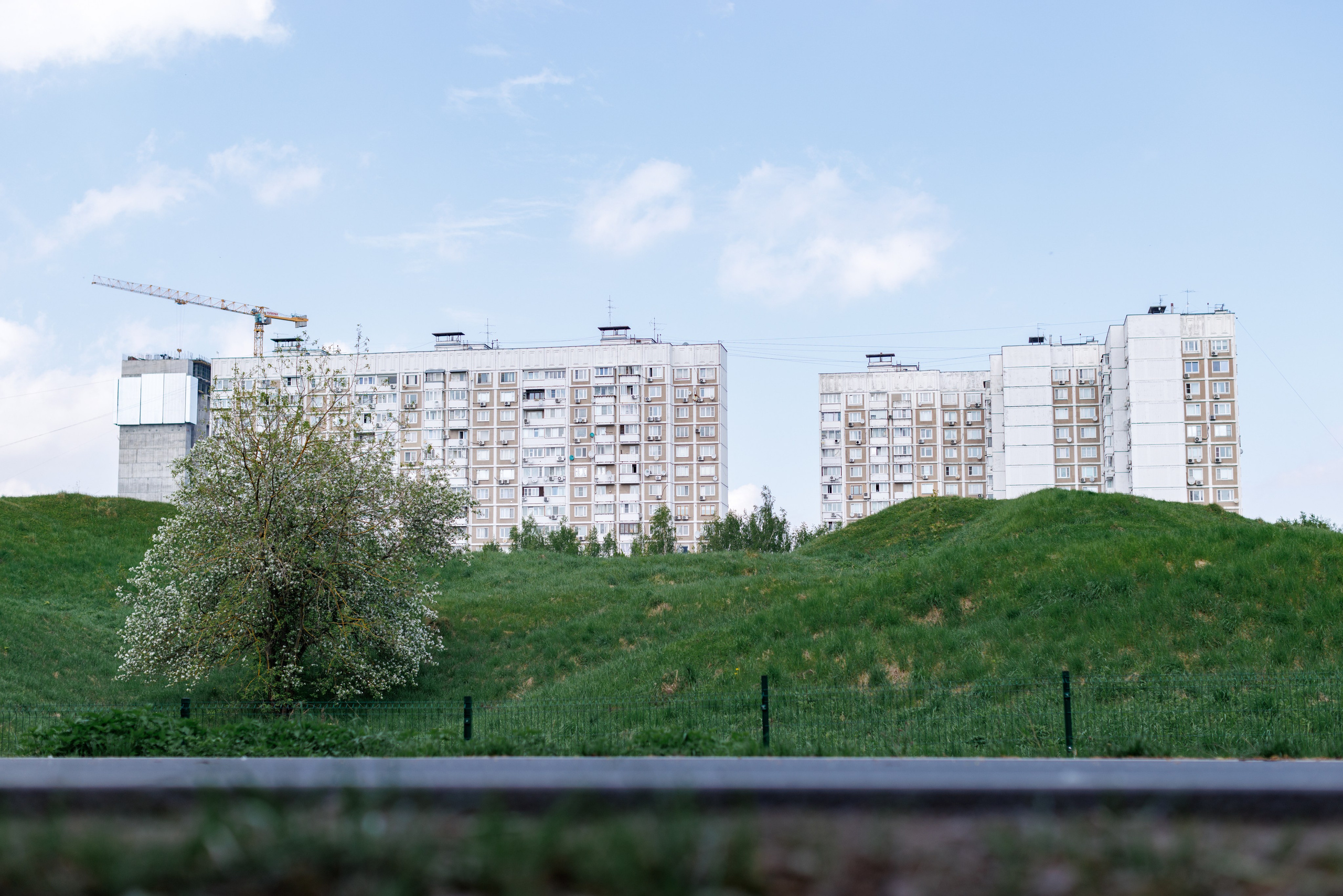 Первенство и Чемпионат Москвы 2026 / Крылатское. Спортивный фотограф Алексей Соломин