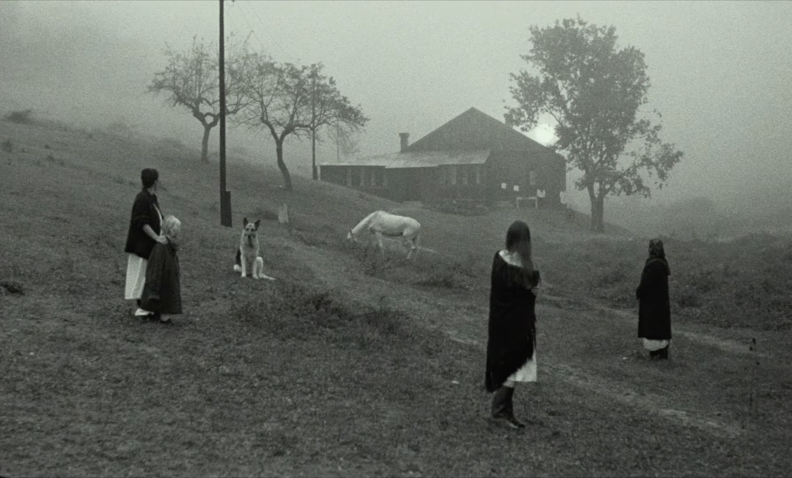 NOSTALGHIA. Василий Пиндюрин визуальный художник