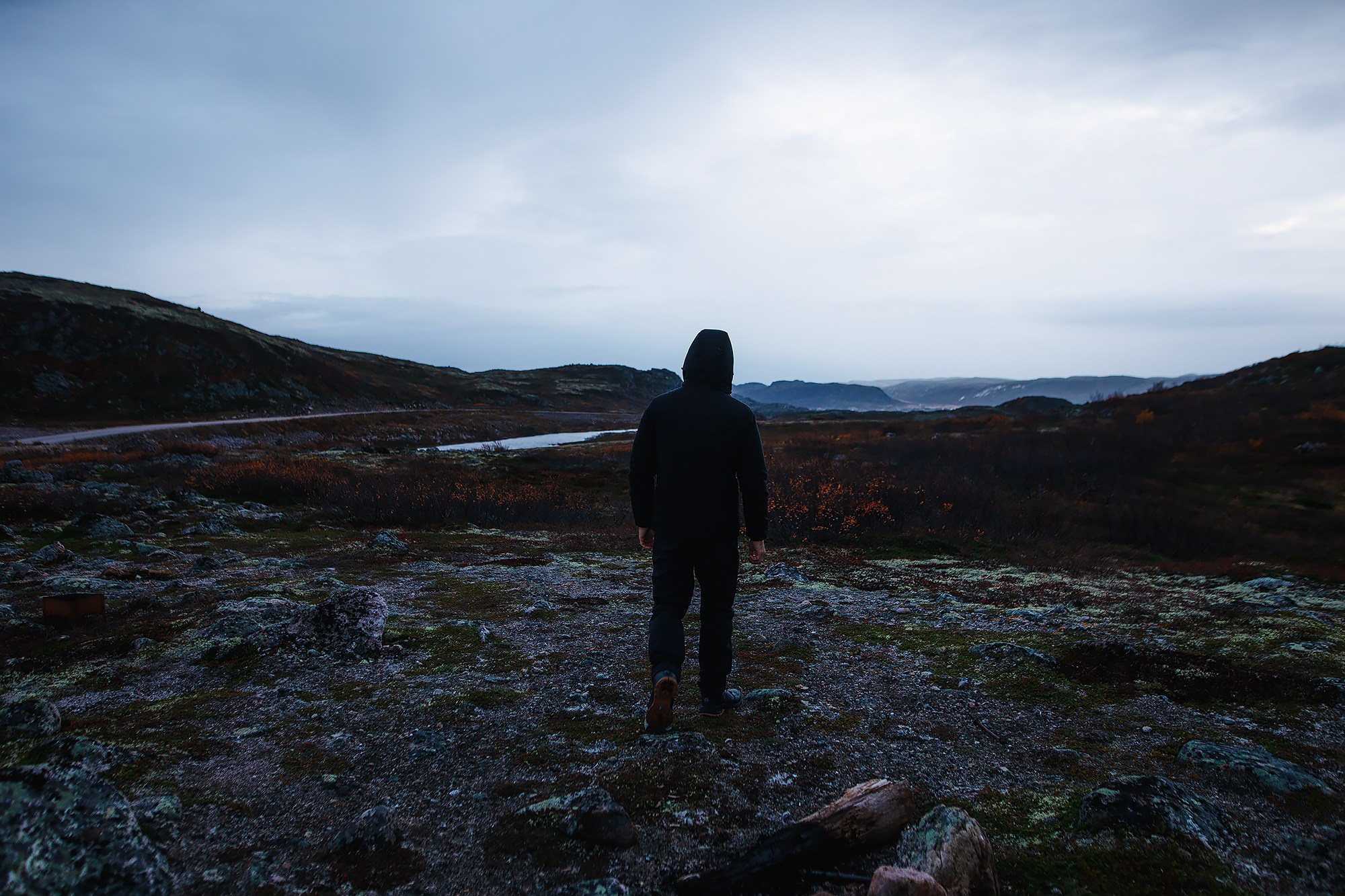 Фотограф-анималист Mary Mart — Москва, Питер