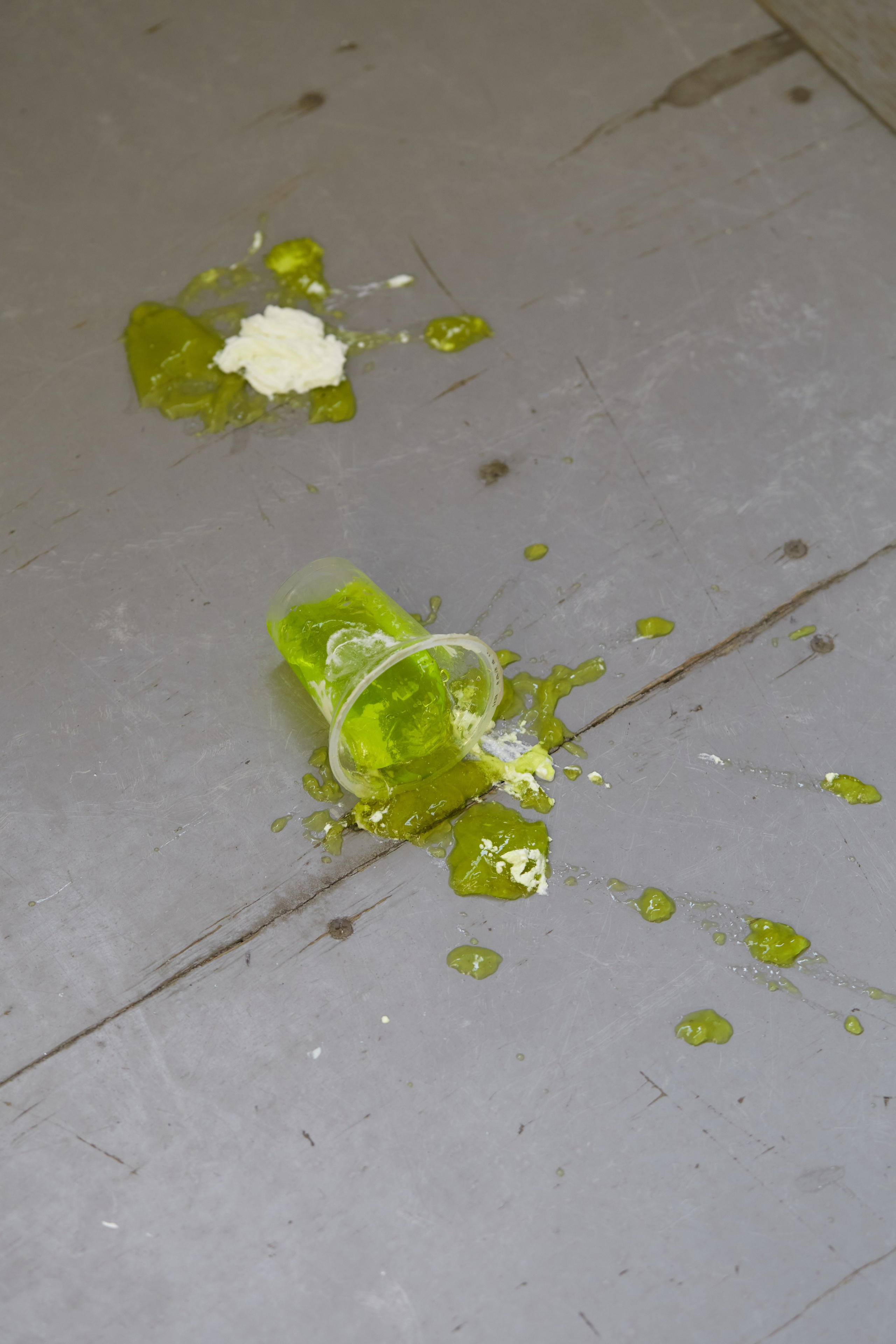 HEYDAY. Daria Blinova