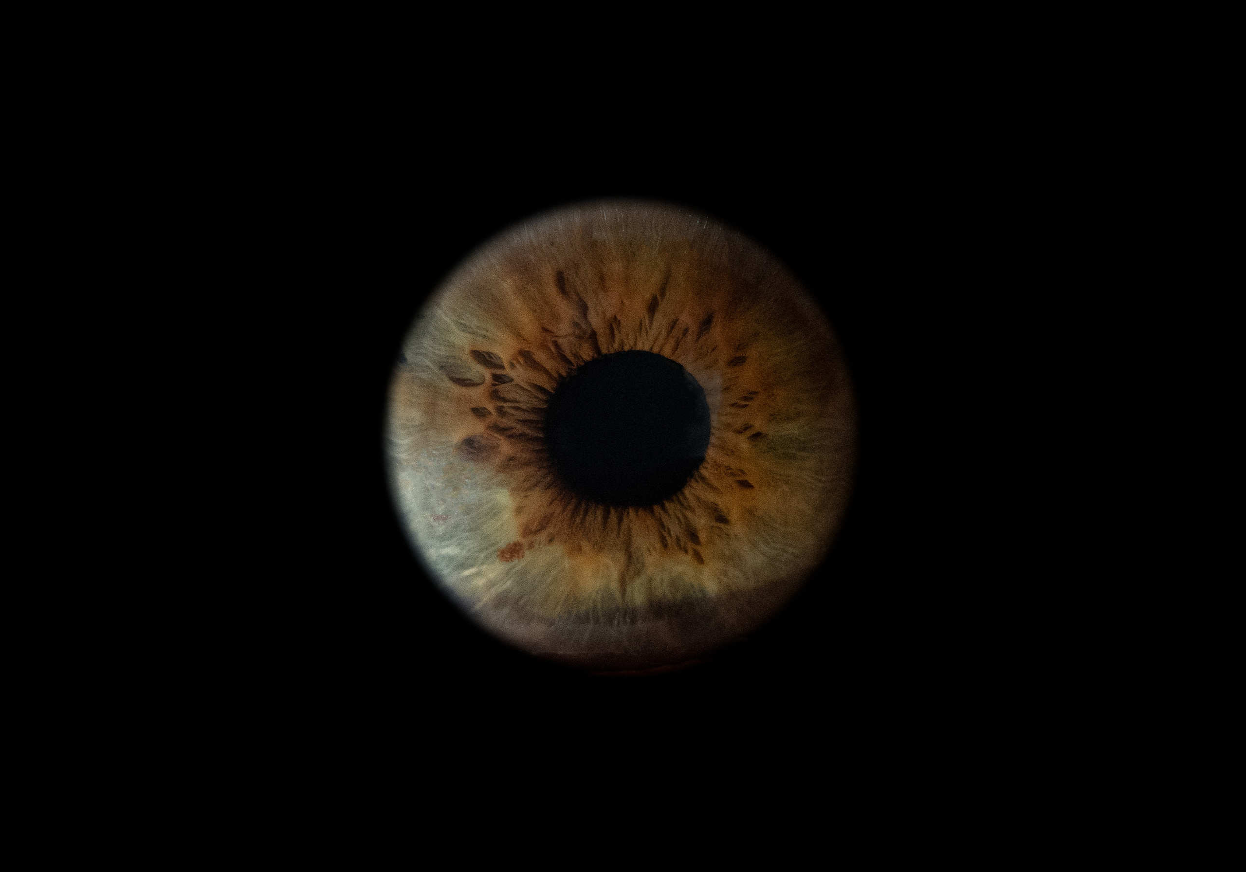 Фотостудия макросъёмки радужки глаз в Севастополе «Ojo art»