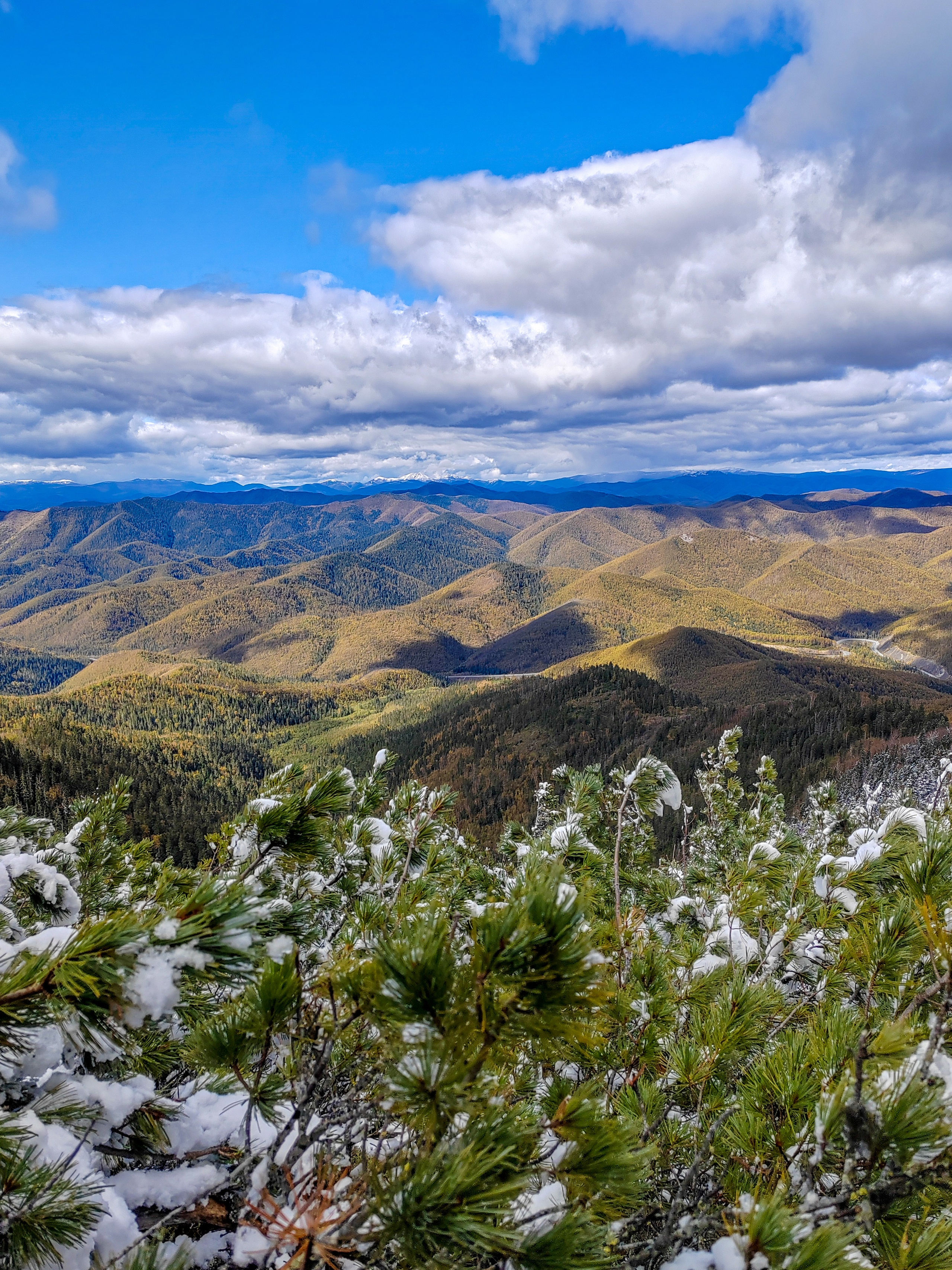 #Горы #Таунга #СихотэАлинь #Поход #ХабаровскийКрай #Трекинг #Приключения #Природа #Путешествия #Россия #ДальнийВосток #Восхождение #ОсеньВГорах #АктивныйОтдых