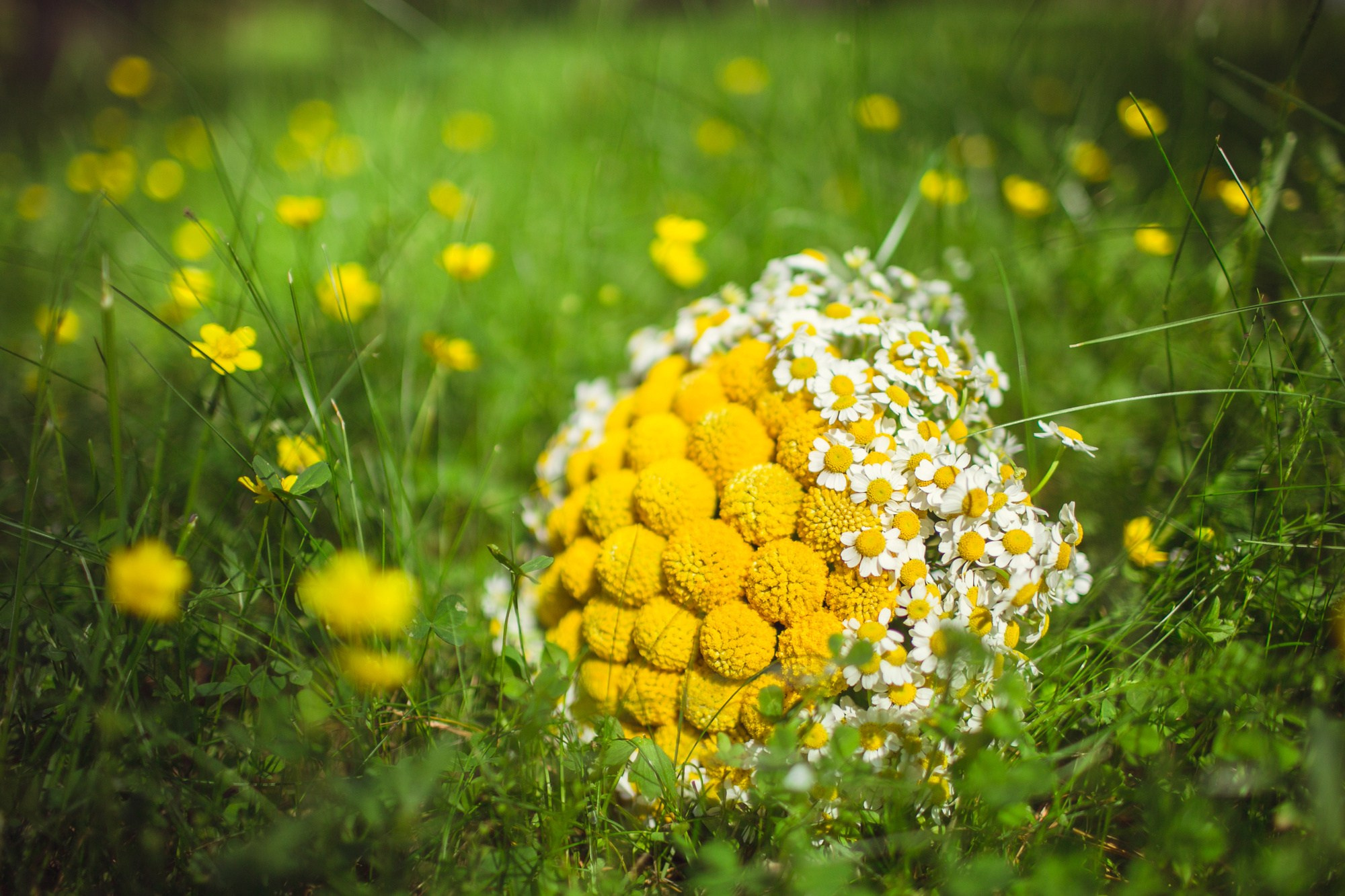 Свадьба в стиле «Рустик». Семейный, портретный и свадебный фотограф в Санкт-Петербурге и Москве