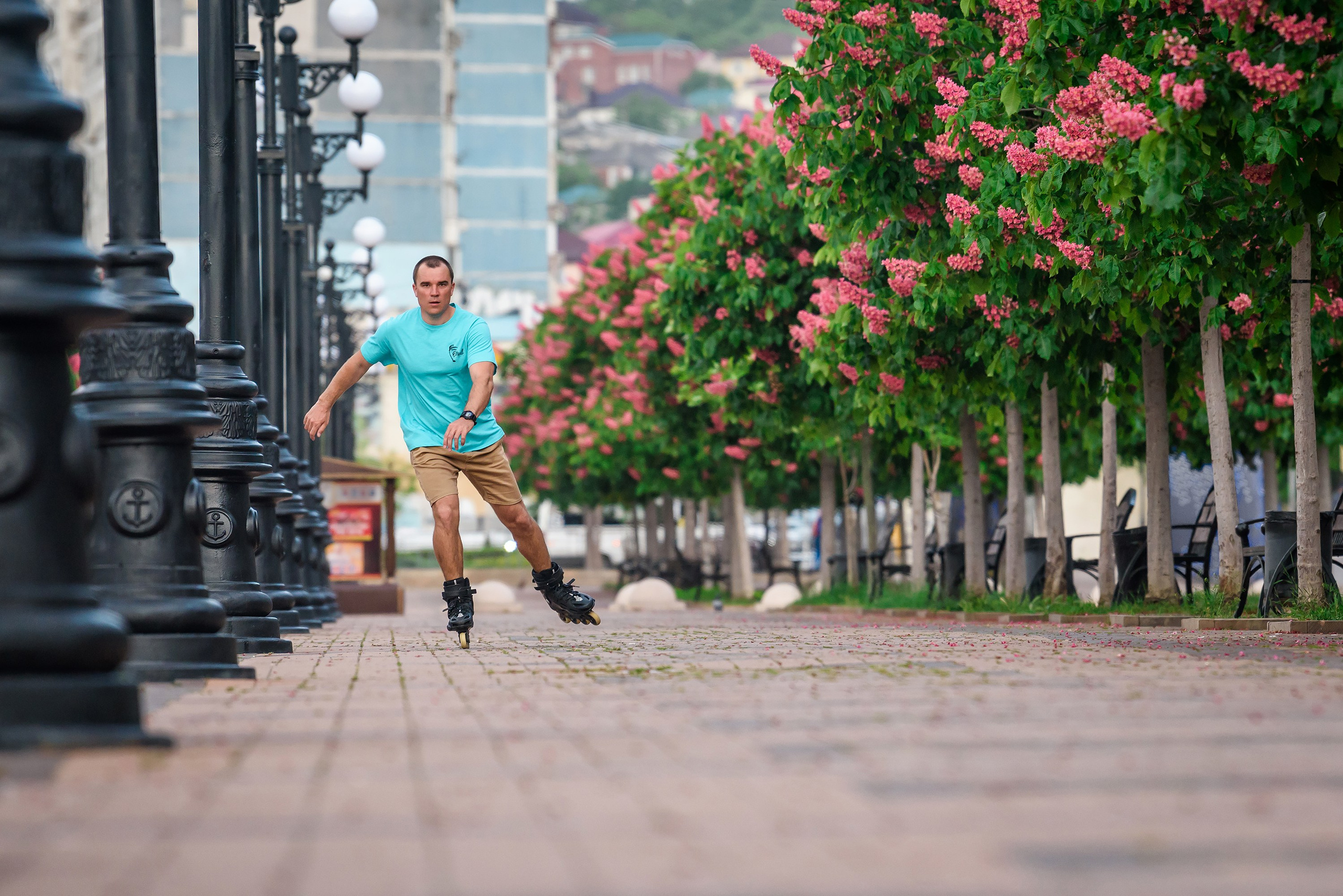 Краснодарский край, локация, фотосессия, Бульвар Черняховского, г. Новороссийск, аллея, каштаны, цветущие каштаны, розовые каштаны, прогулка