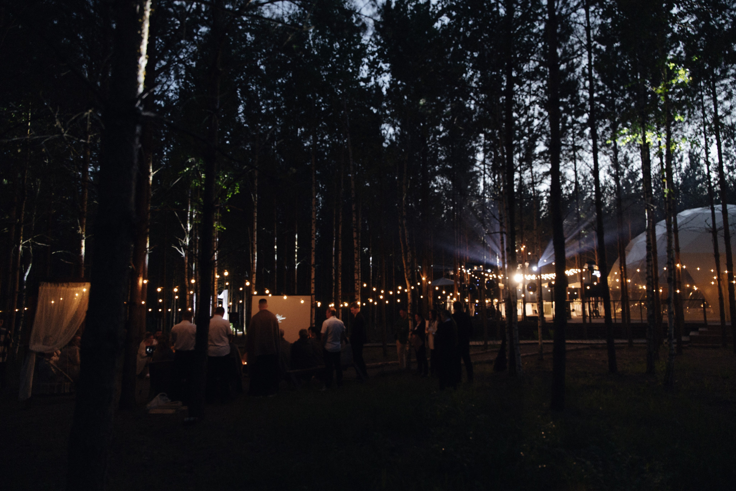 Свадьба в лесу Владислава и Светланы. Свадебный организатор Марина Корсакова, Барнаул, Бийск, Алтайский край, Горный Алтай, Новосибирск