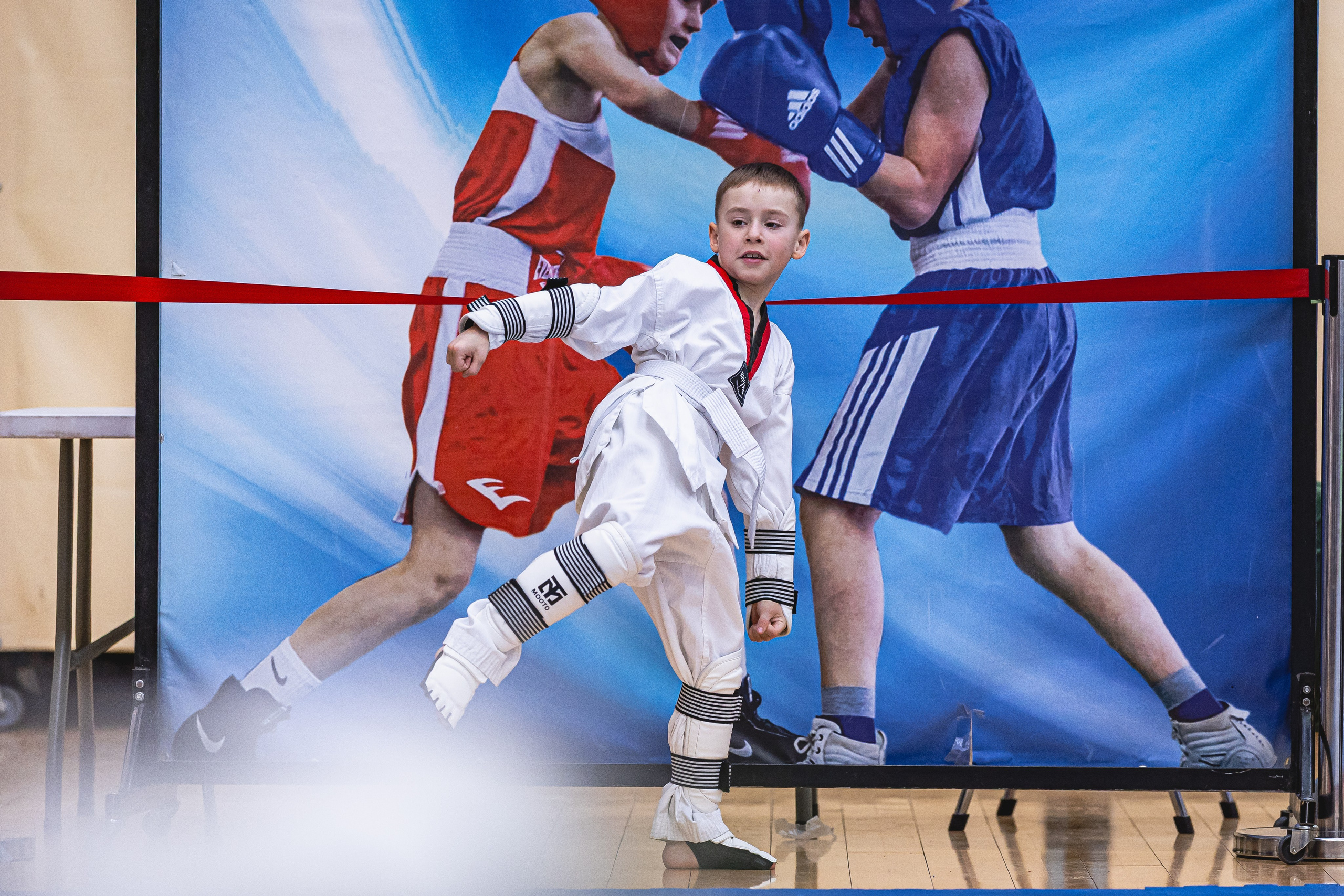 Турнир ВДЮФСОО «ФЕДЕРАЦИЯ ДЕТСКОГО ТХЭКВОНДО РОССИИ» и МОО СПКЕ «ЭРИДАН» по «СПОРТИВНОМУ БОЮ КЕРУГИ». Спортивный фотограф Максим Серегин