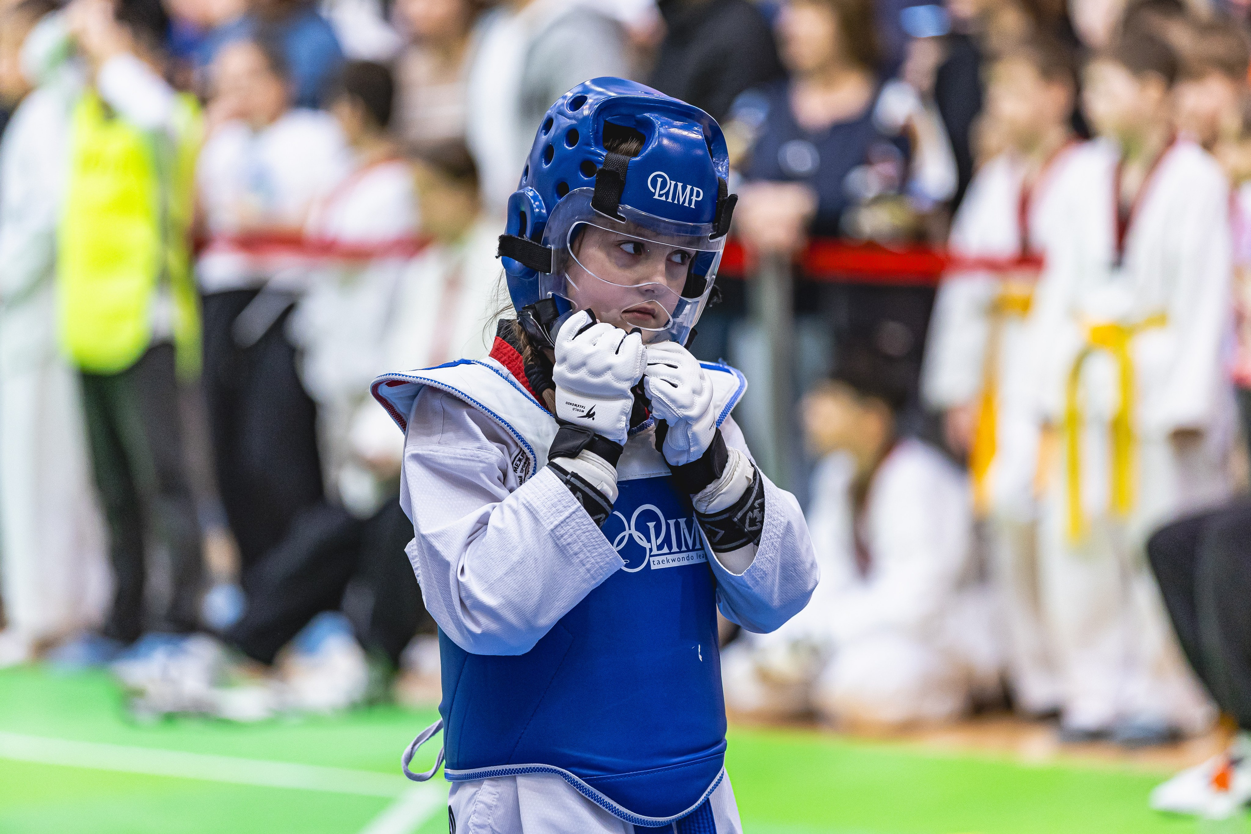 Турнир ВДЮФСОО «ФЕДЕРАЦИЯ ДЕТСКОГО ТХЭКВОНДО РОССИИ» и МОО СПКЕ «ЭРИДАН» по «СПОРТИВНОМУ БОЮ КЕРУГИ». Спортивный фотограф Максим Серегин