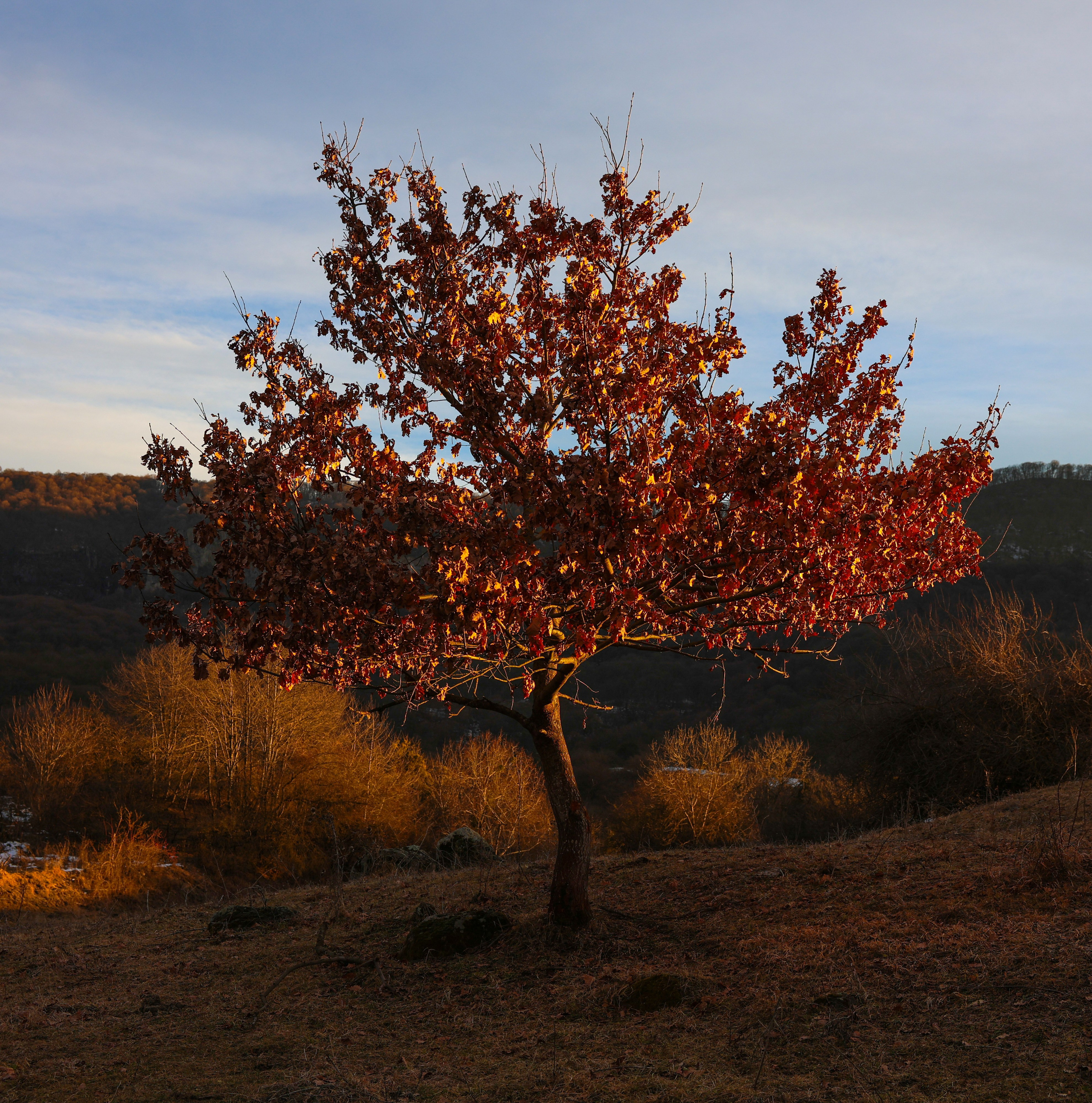 Мария Алексеева. Фотограф в Москве