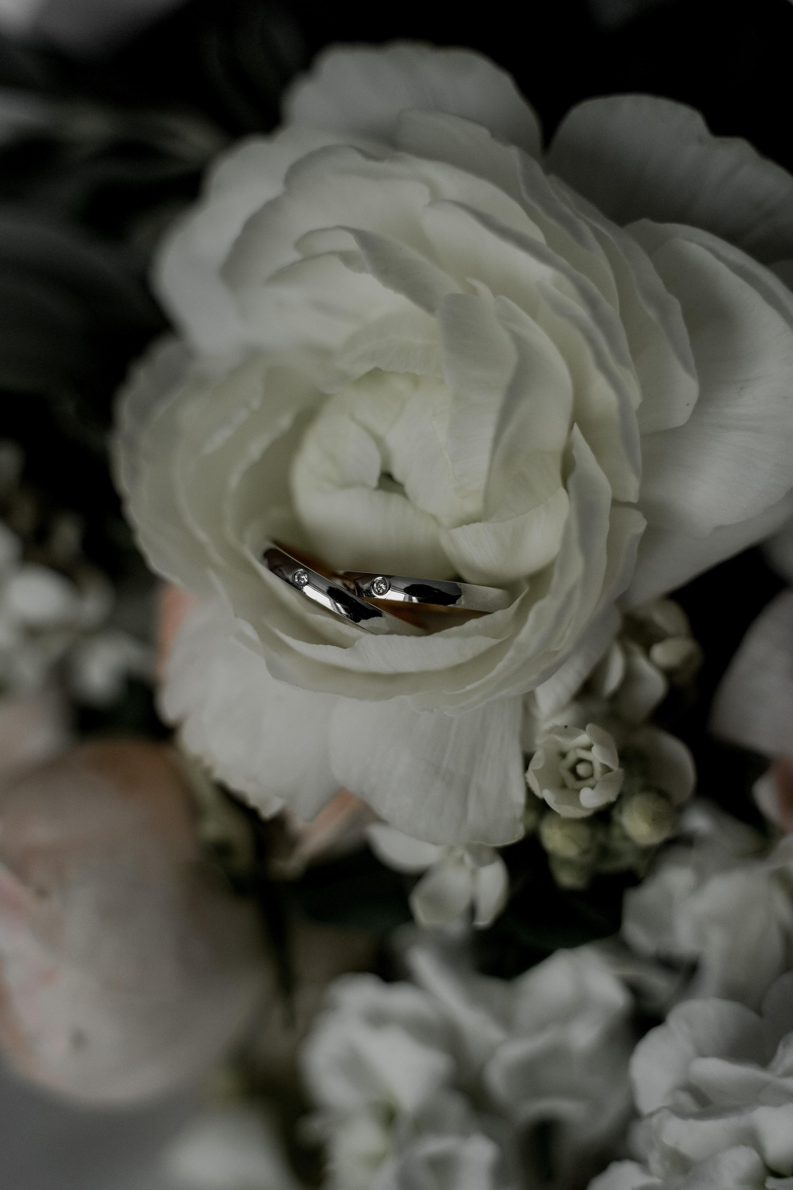 Главная. Свадебный фотограф Марина Попова