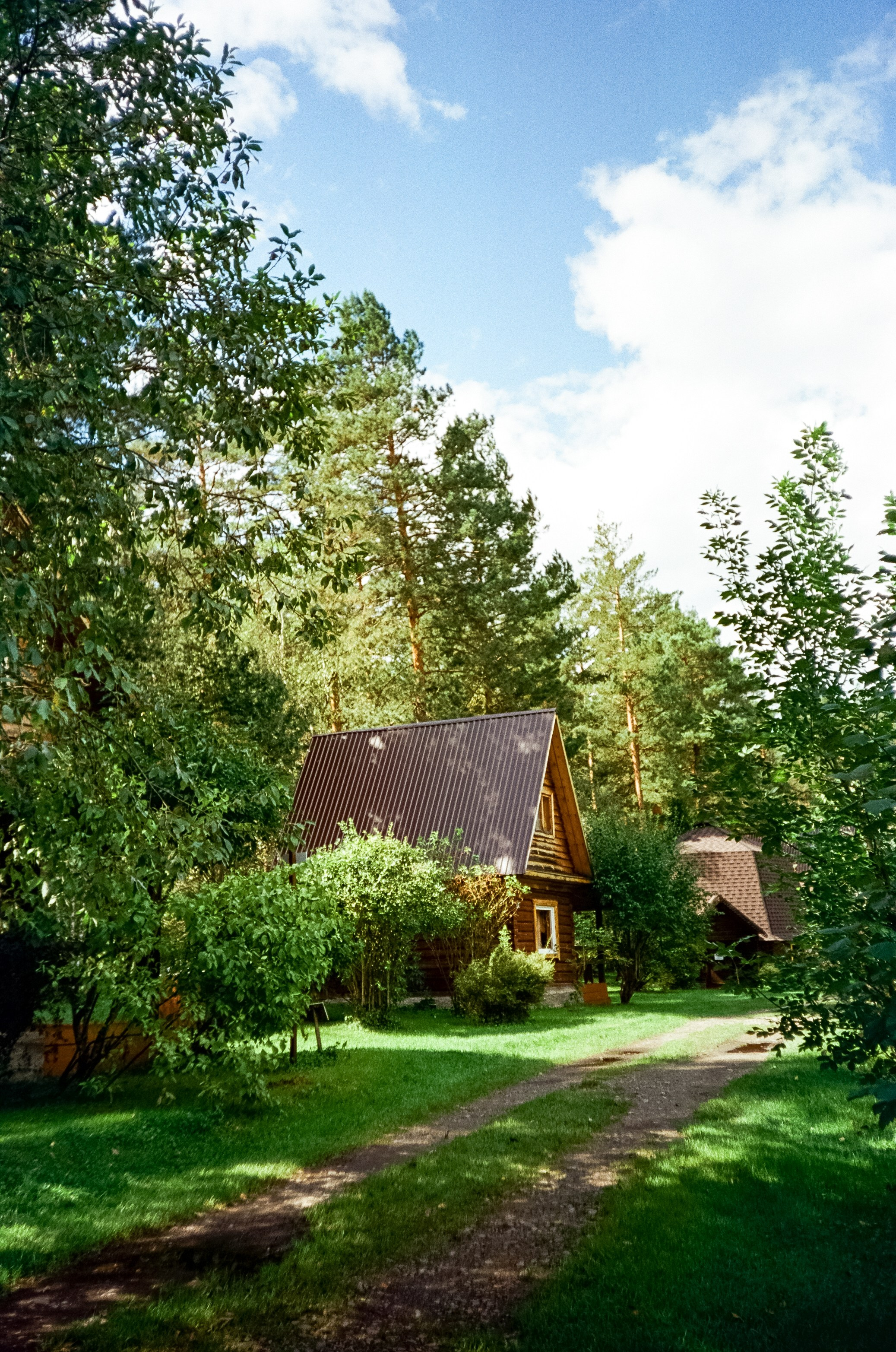 Ботанический сад в солнечный день. Фотограф-документалист Мария Осокина