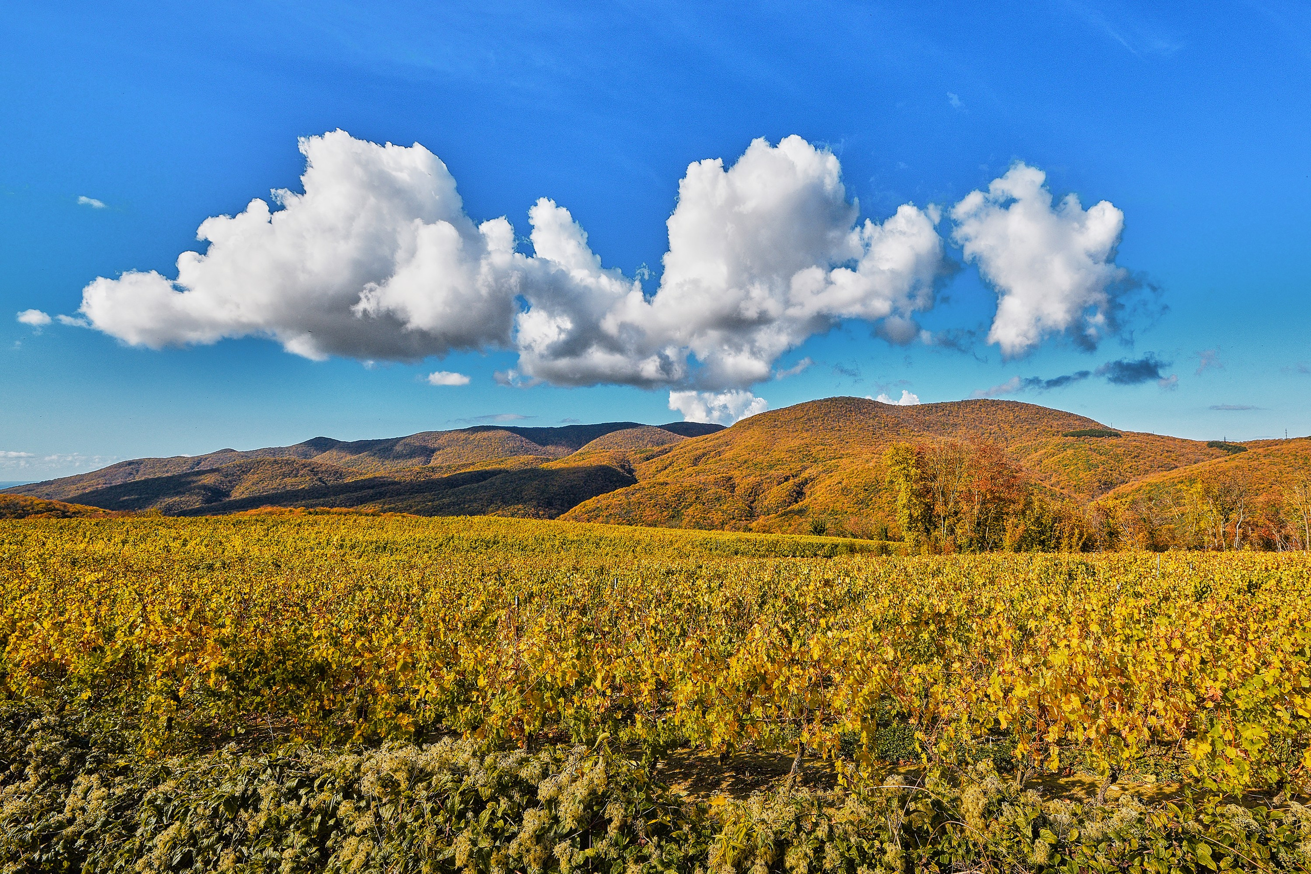 Пейзажи. Яркие фото на Чёрном море