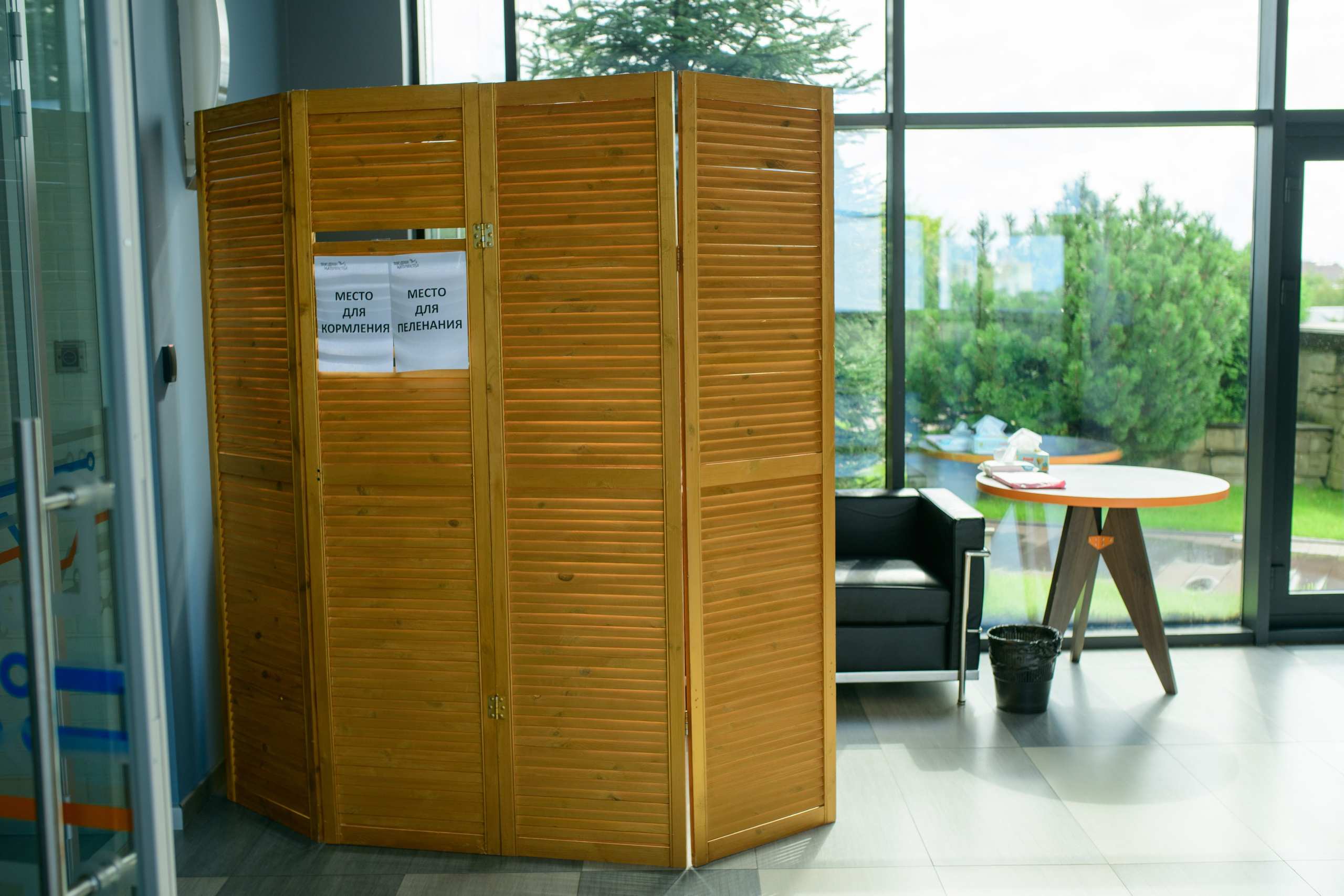 Фотоотчет праздника материнства. Профессиональный фотограф Елена Красилина г.Ярославль, г. Рыбинск