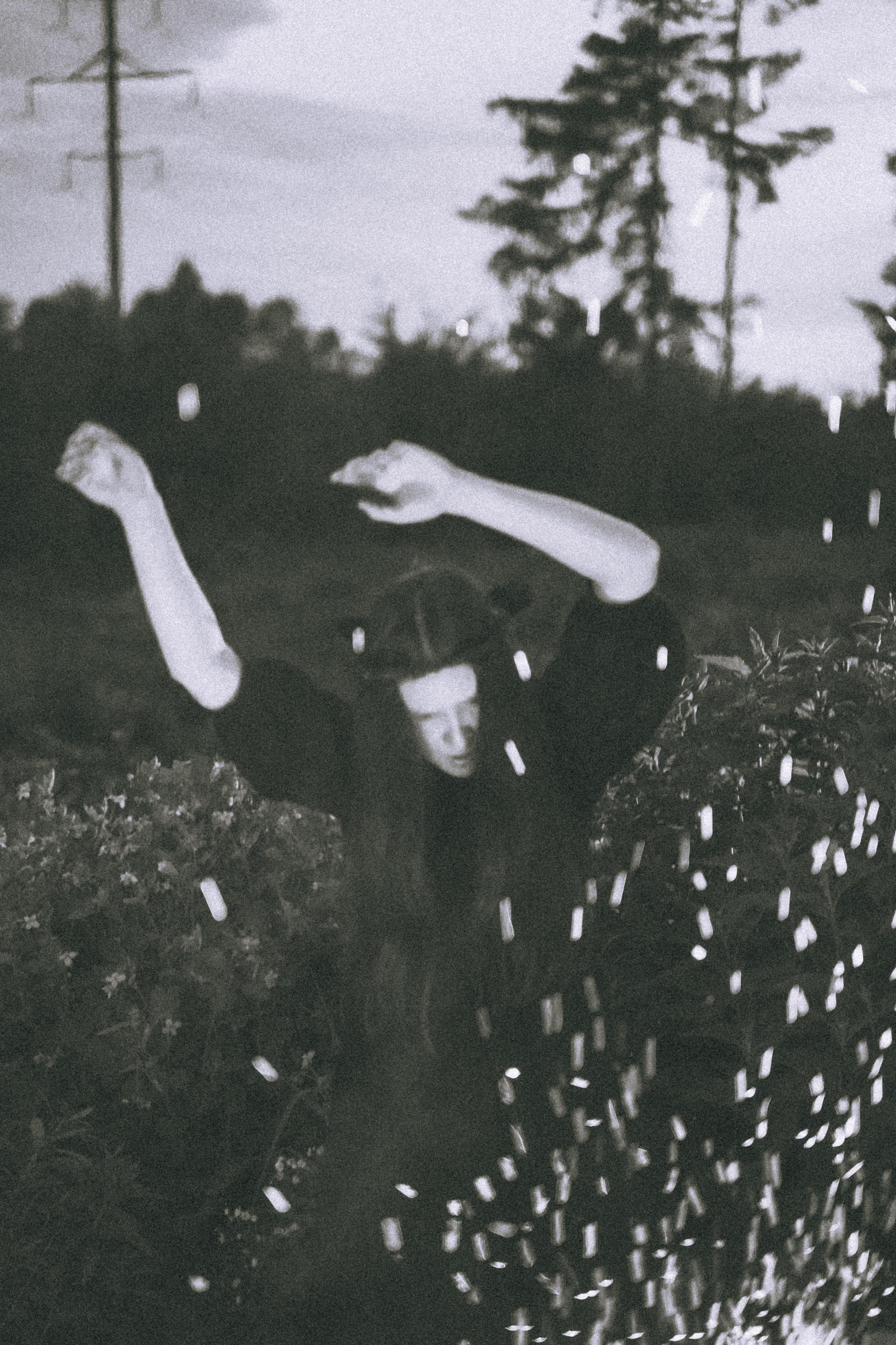 Остановленное стремление. Алиса Аницкая