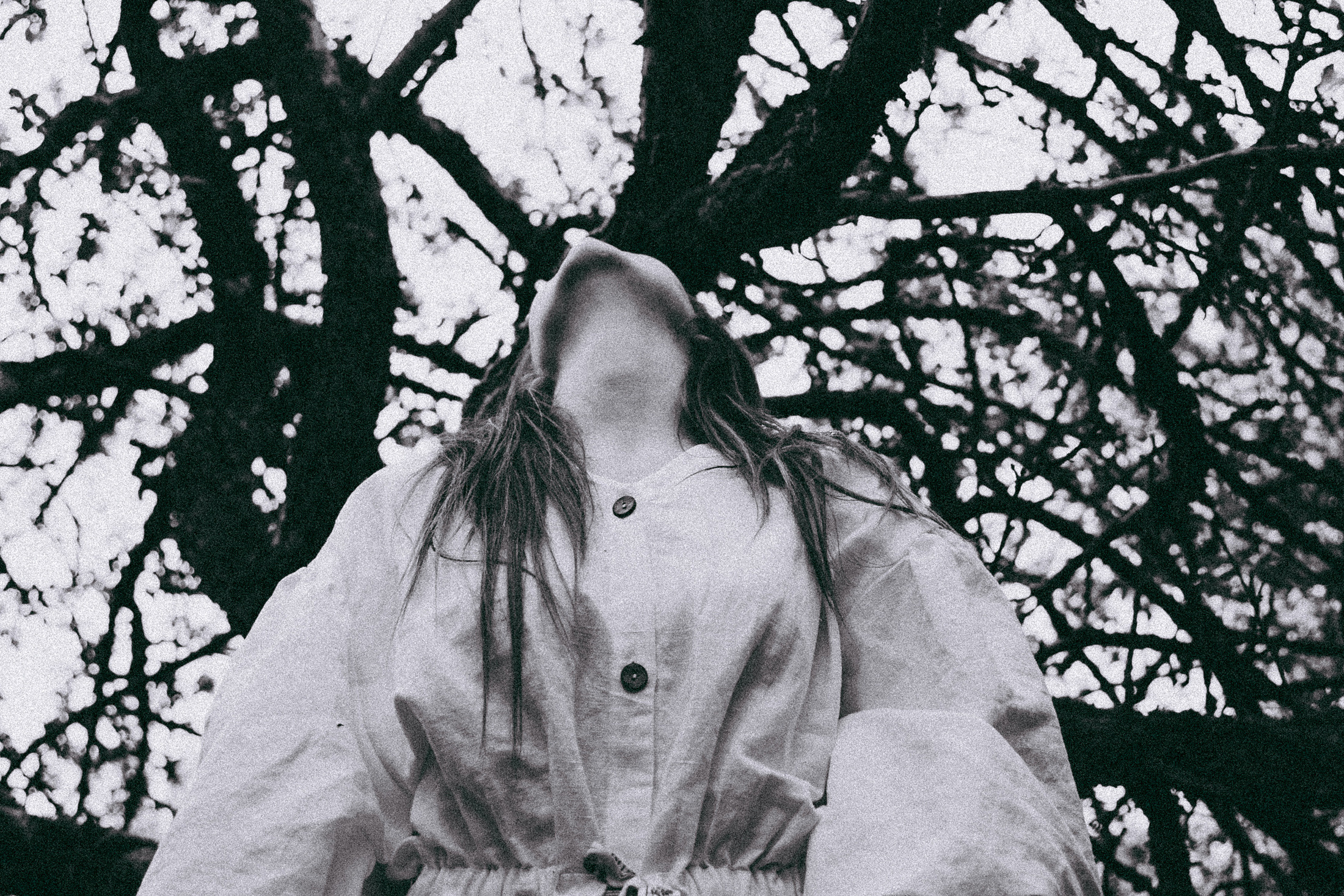 Яблони в весне. Алиса Аницкая