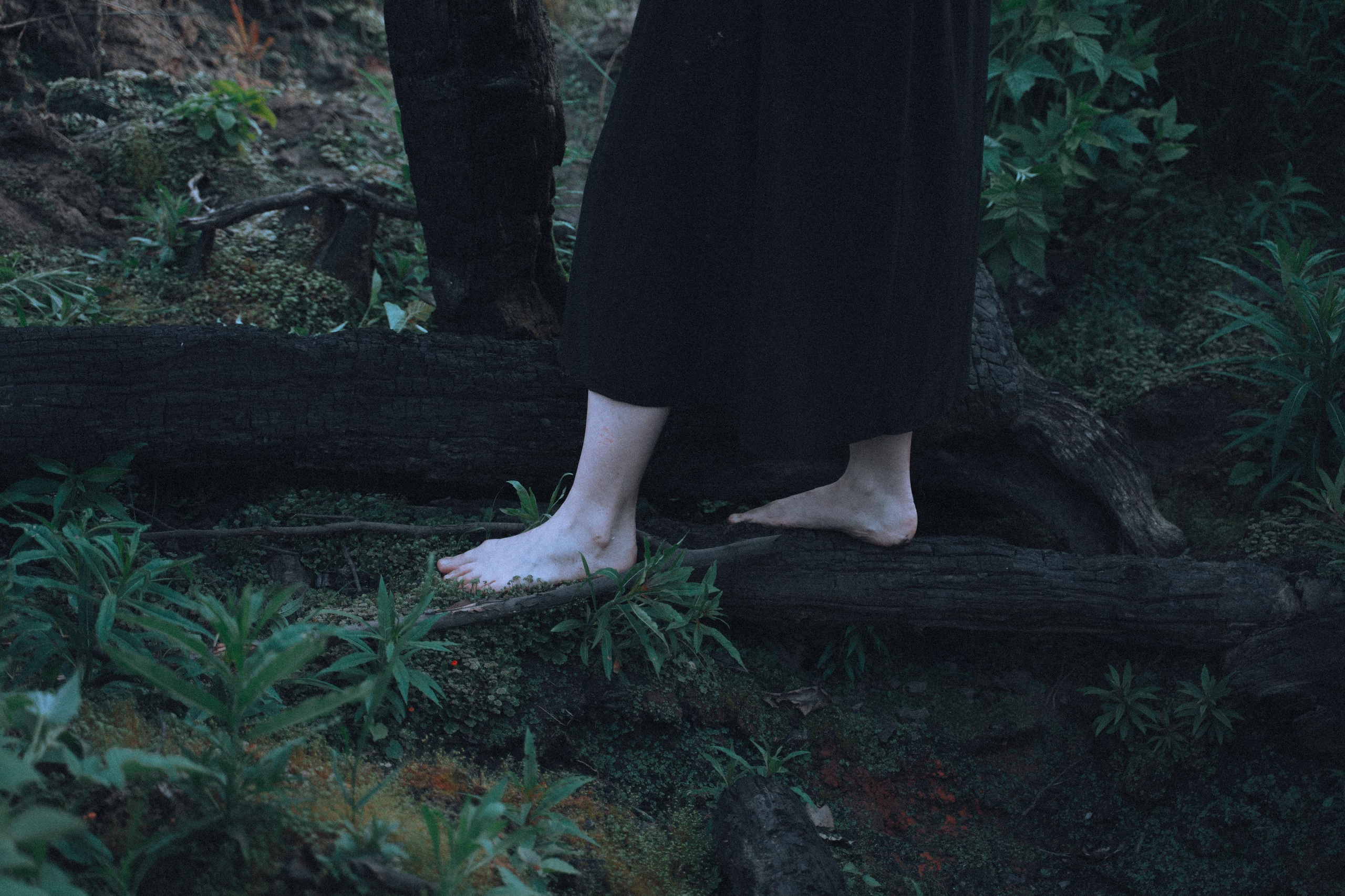 Остановленное стремление. Алиса Аницкая