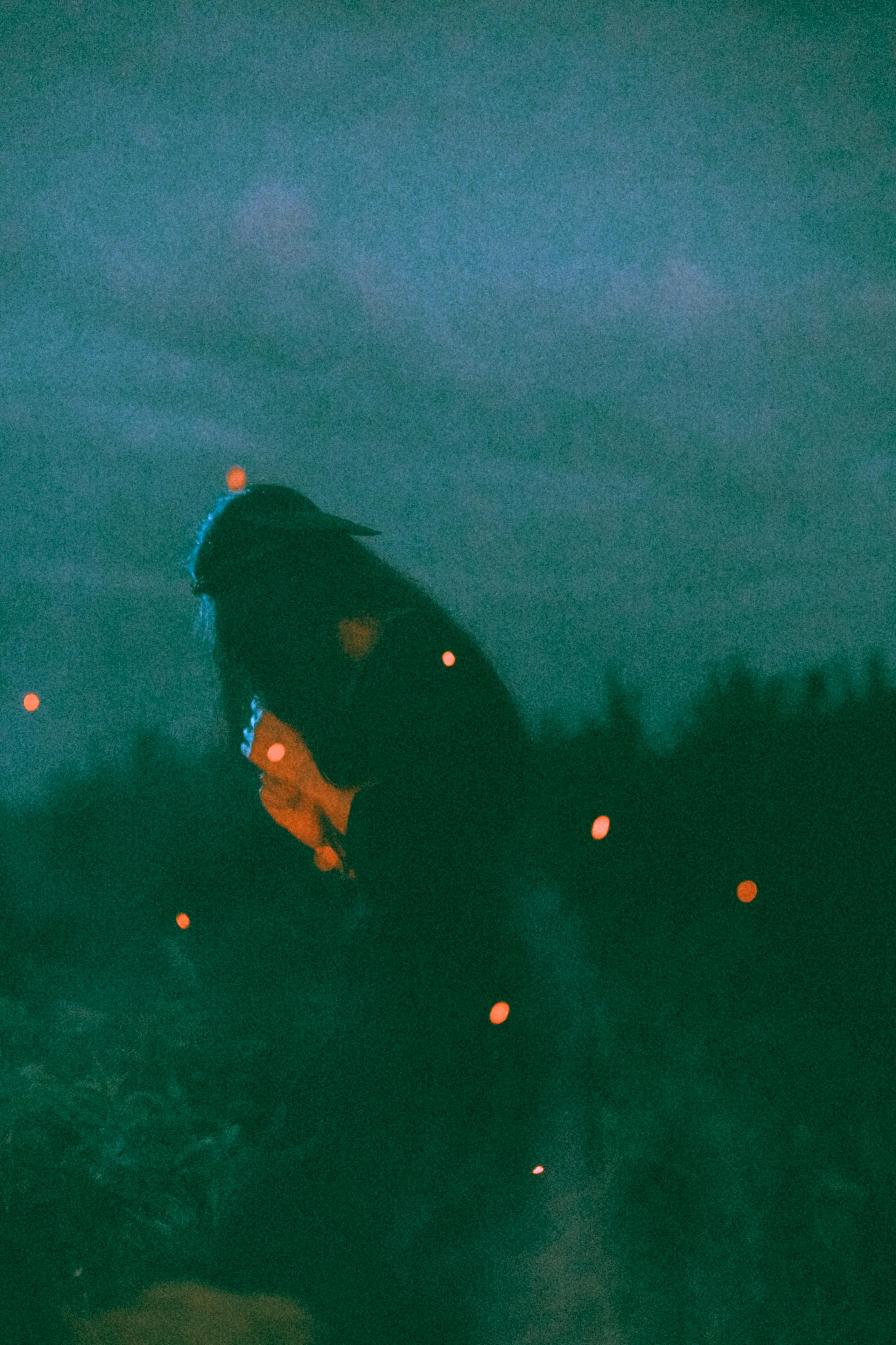 Остановленное стремление. Алиса Аницкая