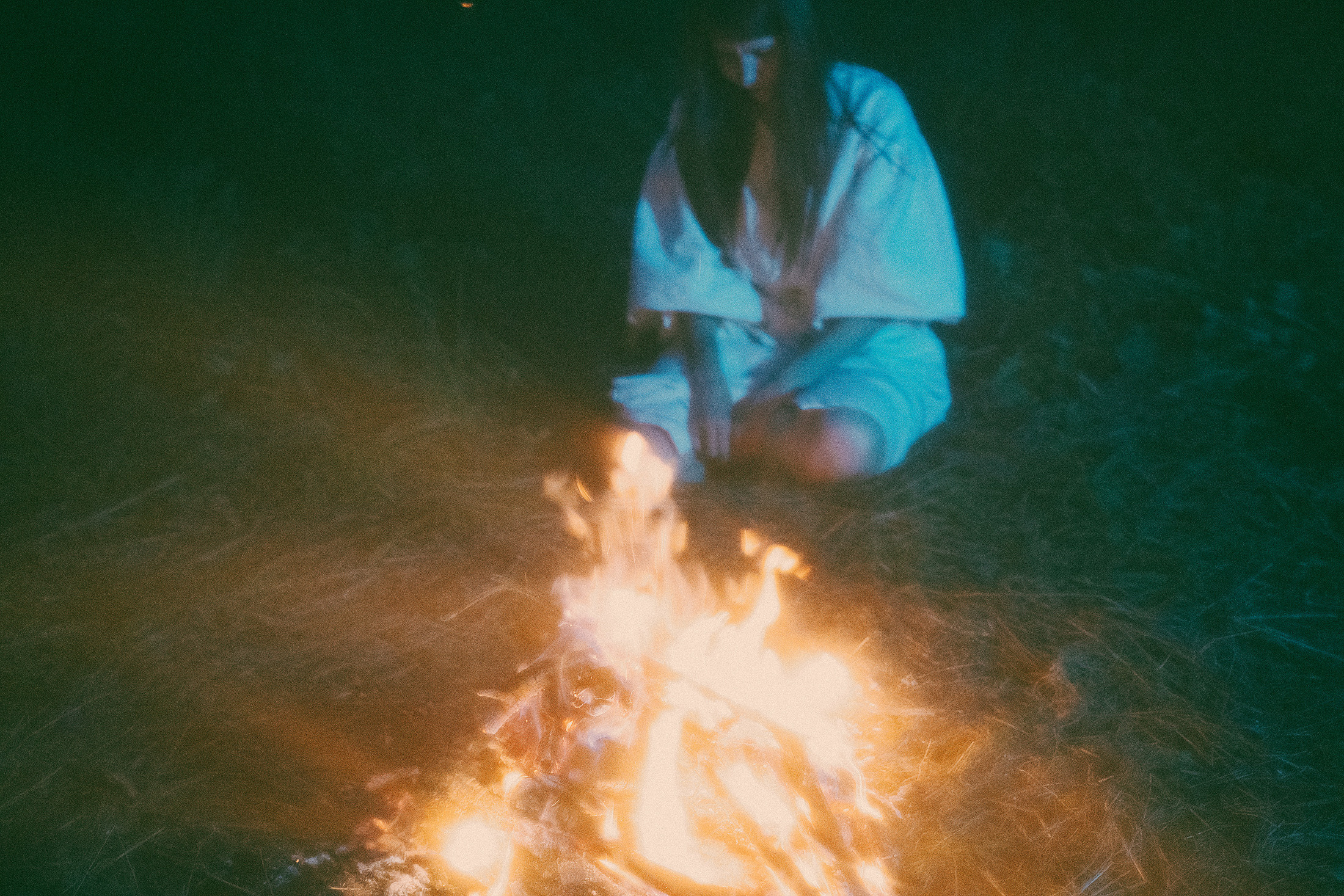 Яблони в весне. Алиса Аницкая