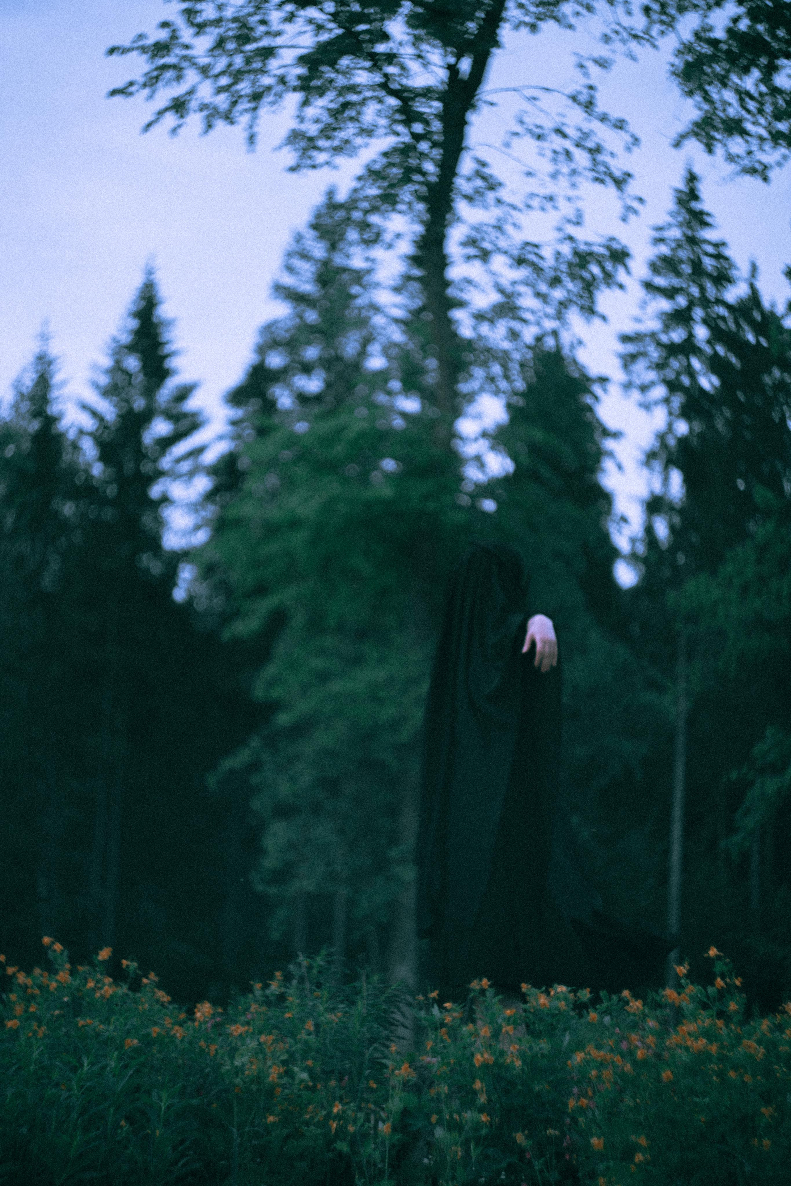 Остановленное стремление. Алиса Аницкая